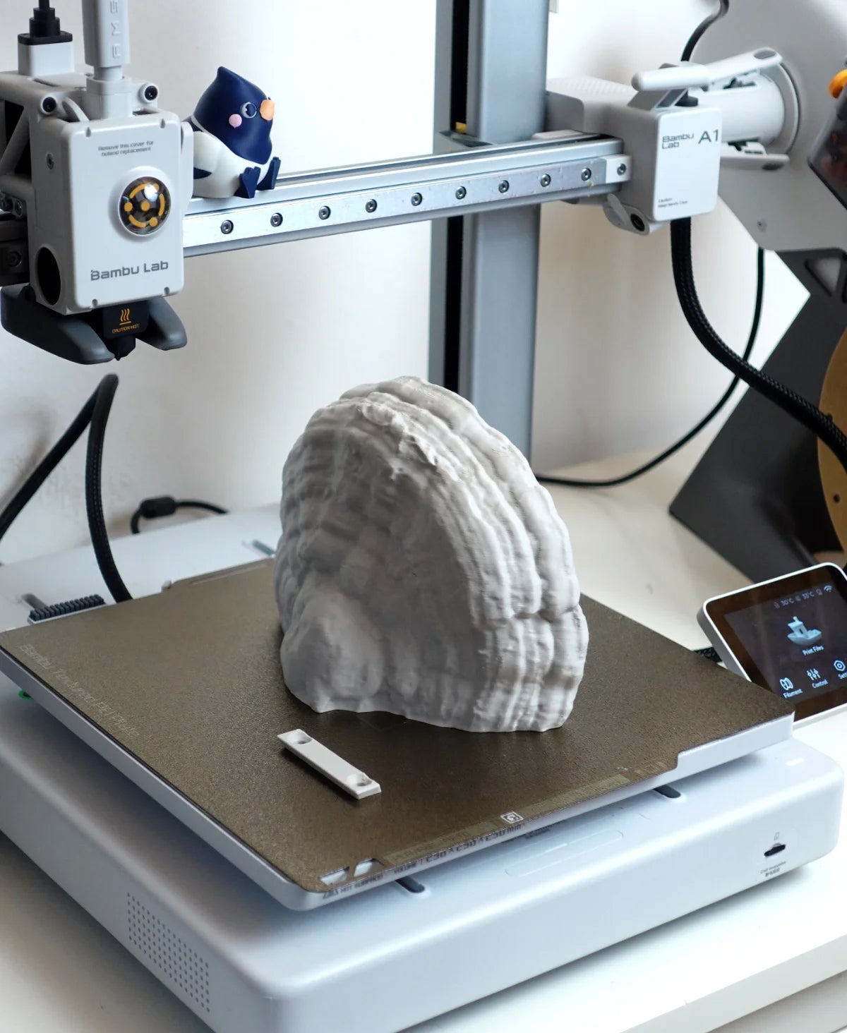 Fomes Fomentarius Duvar Lambası