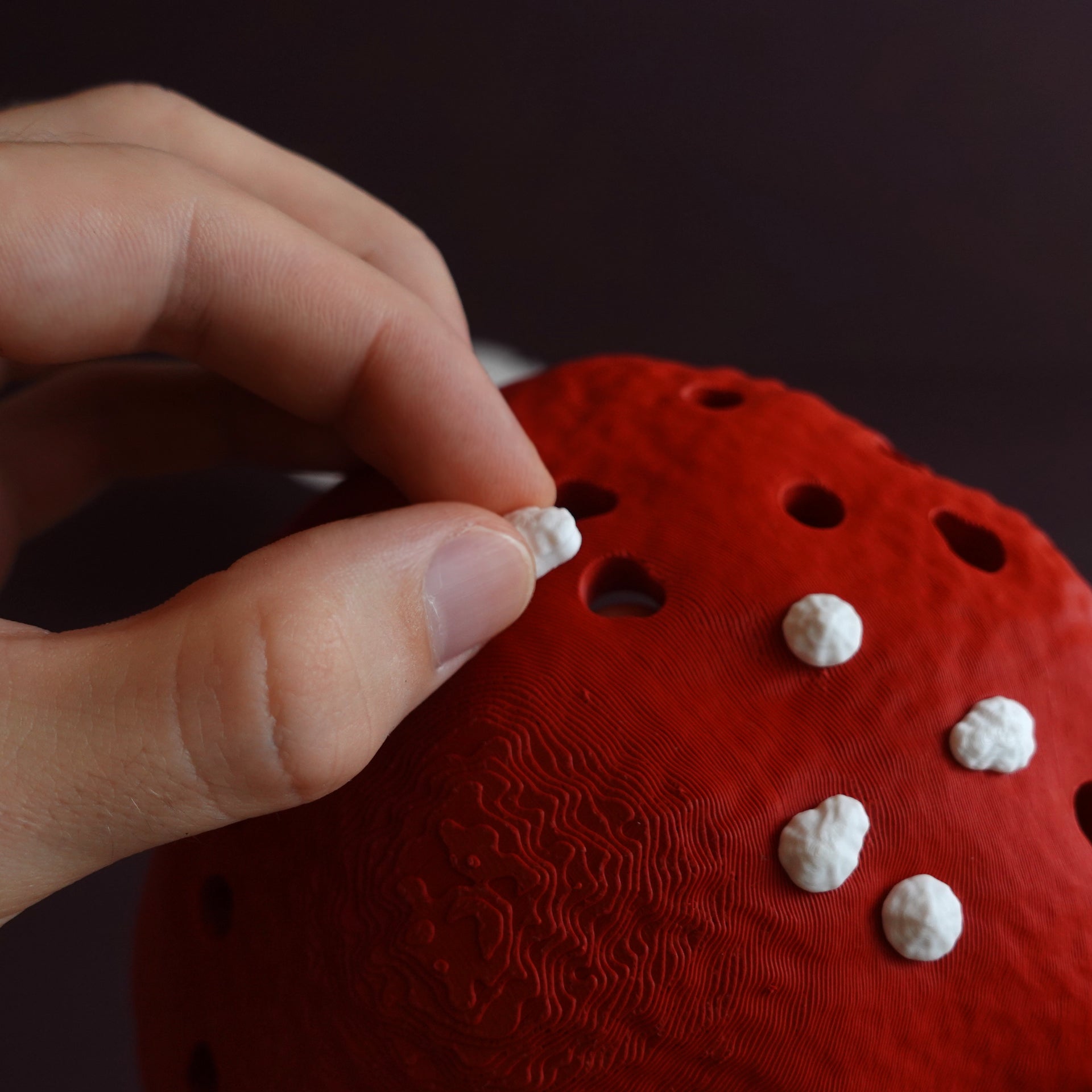 Amanita Muscaria Lamba