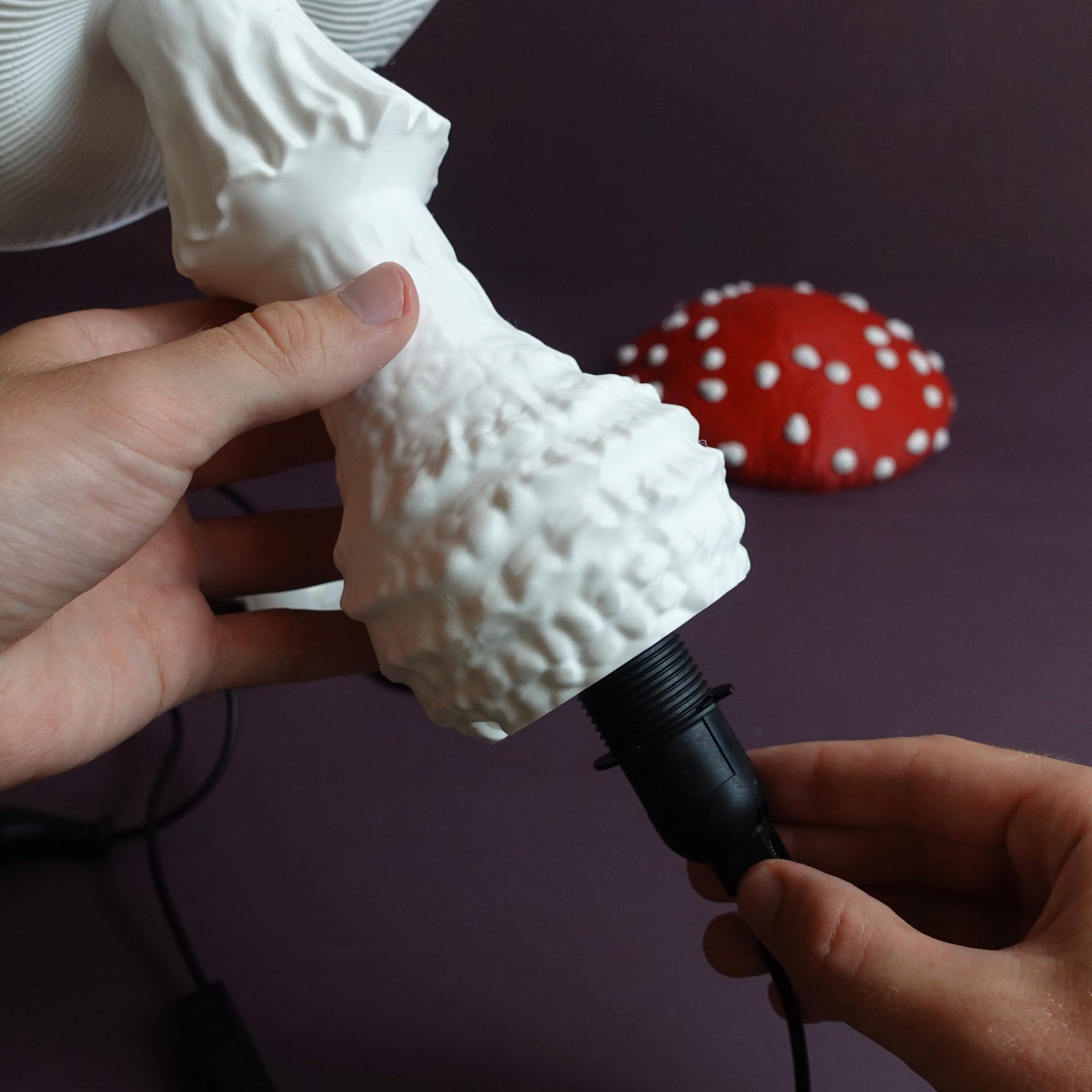 Amanita Muscaria Lamba