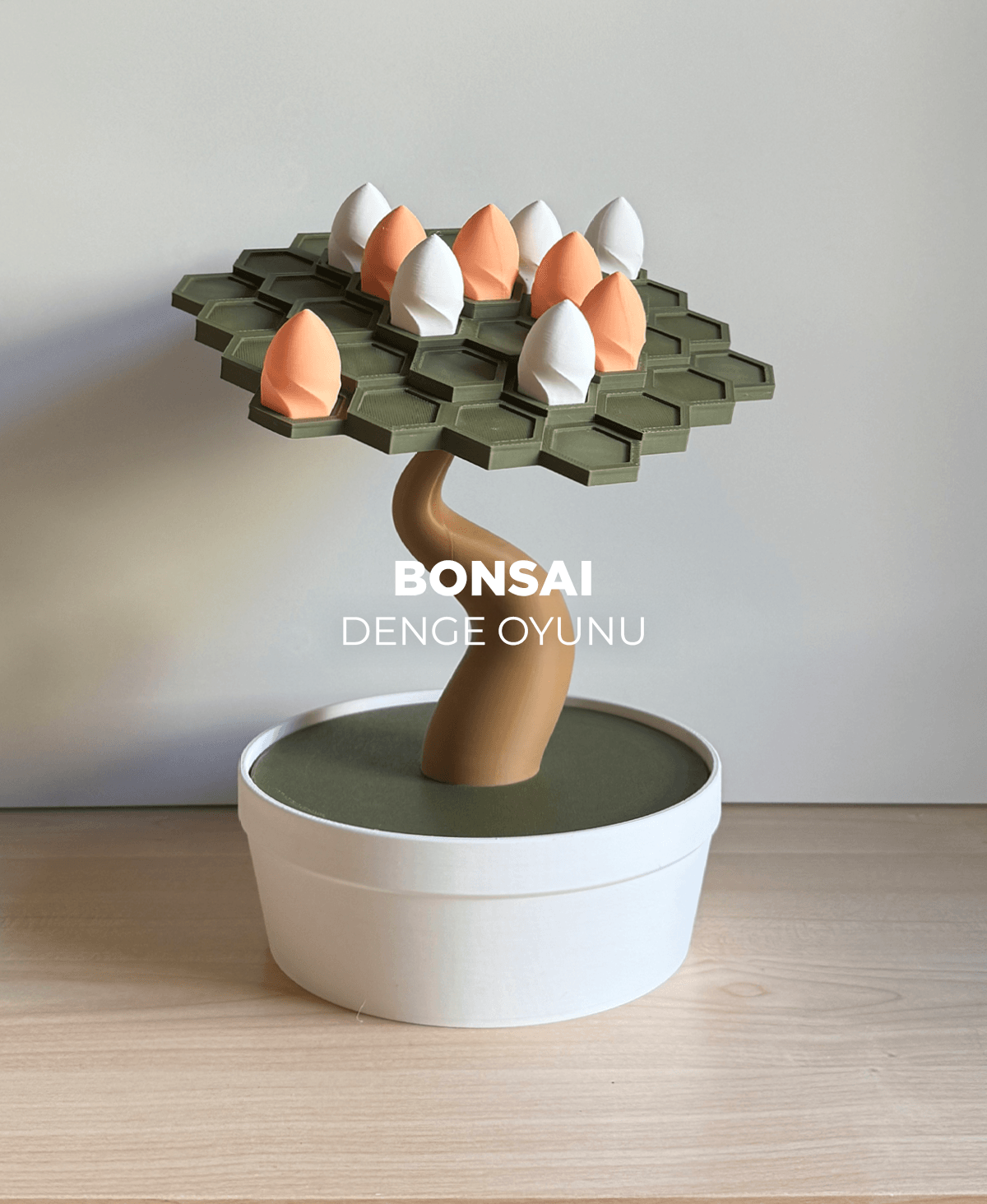 Bonsai Denge Oyunu