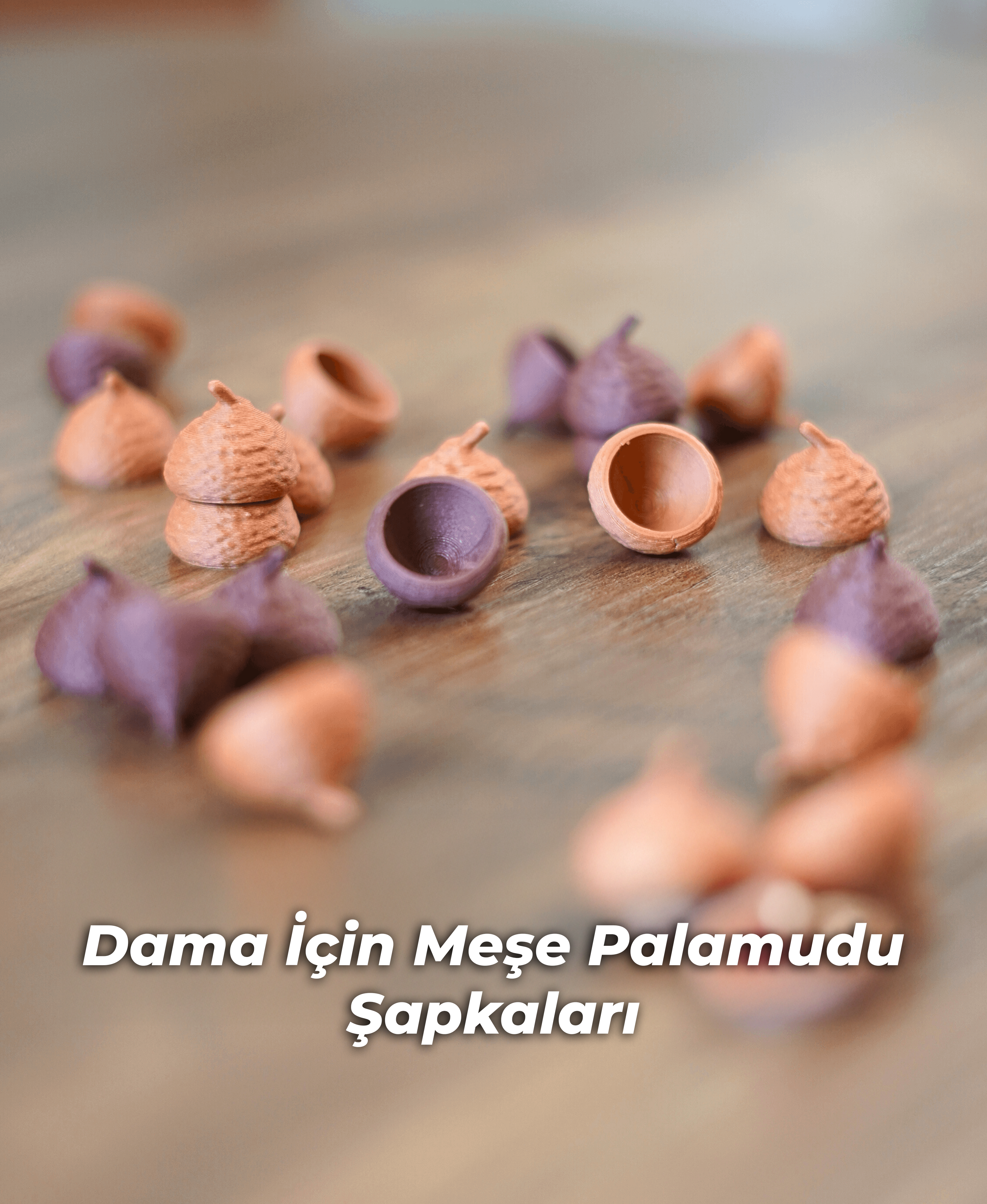 Orman Satranç ve Dama Seti