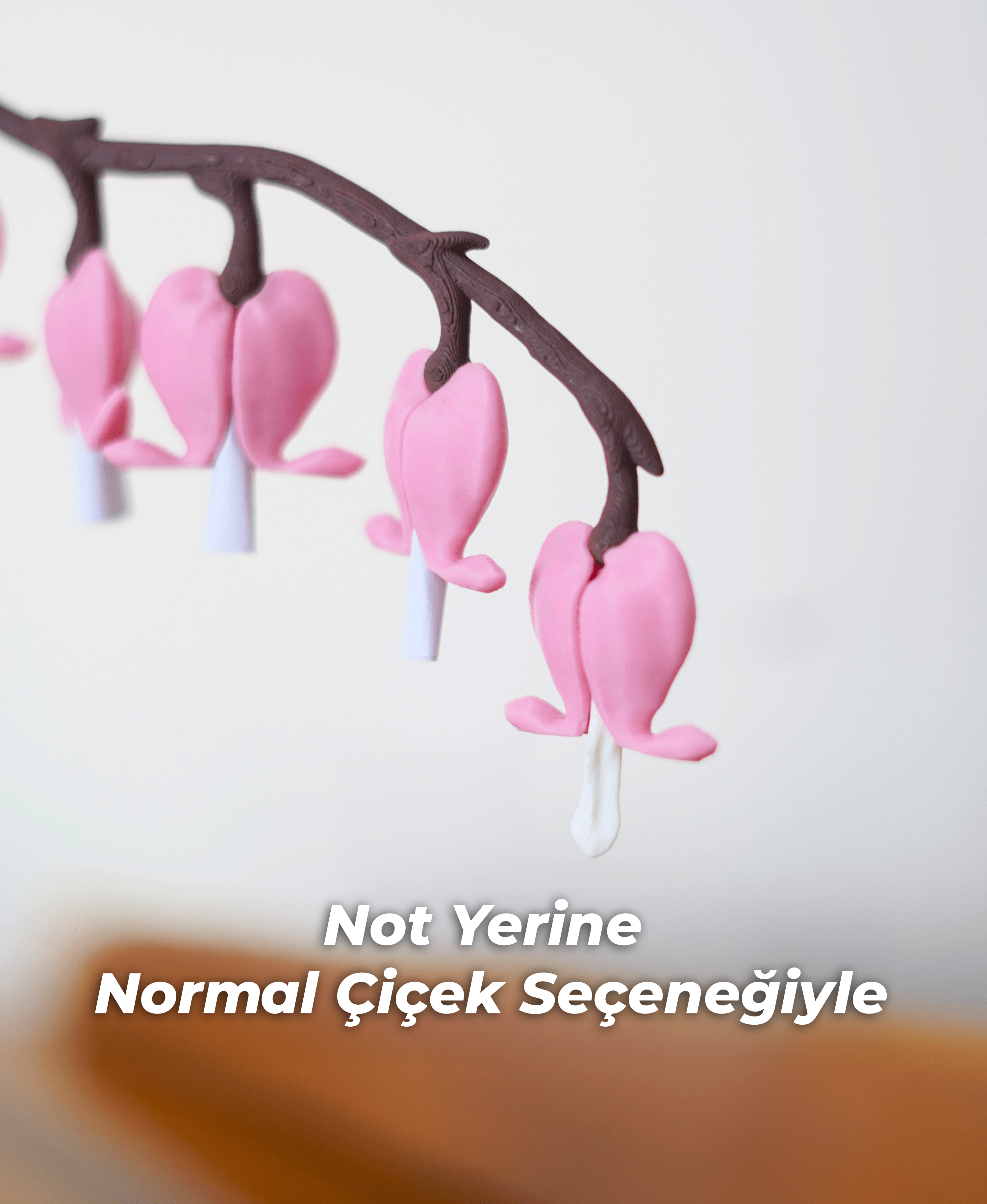 Ağlayan Kalpler Çiçeği