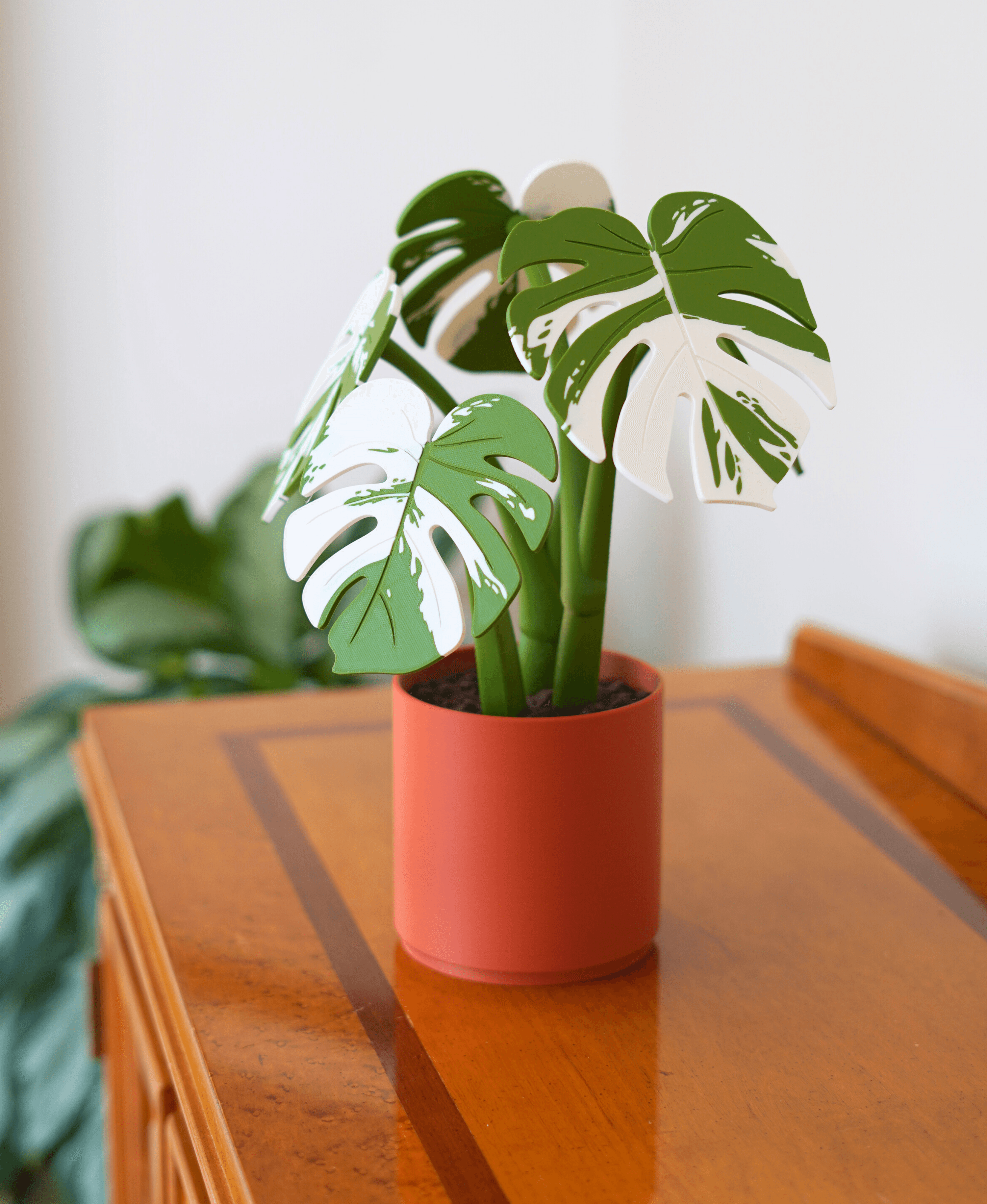 Monstera Altlık Seti