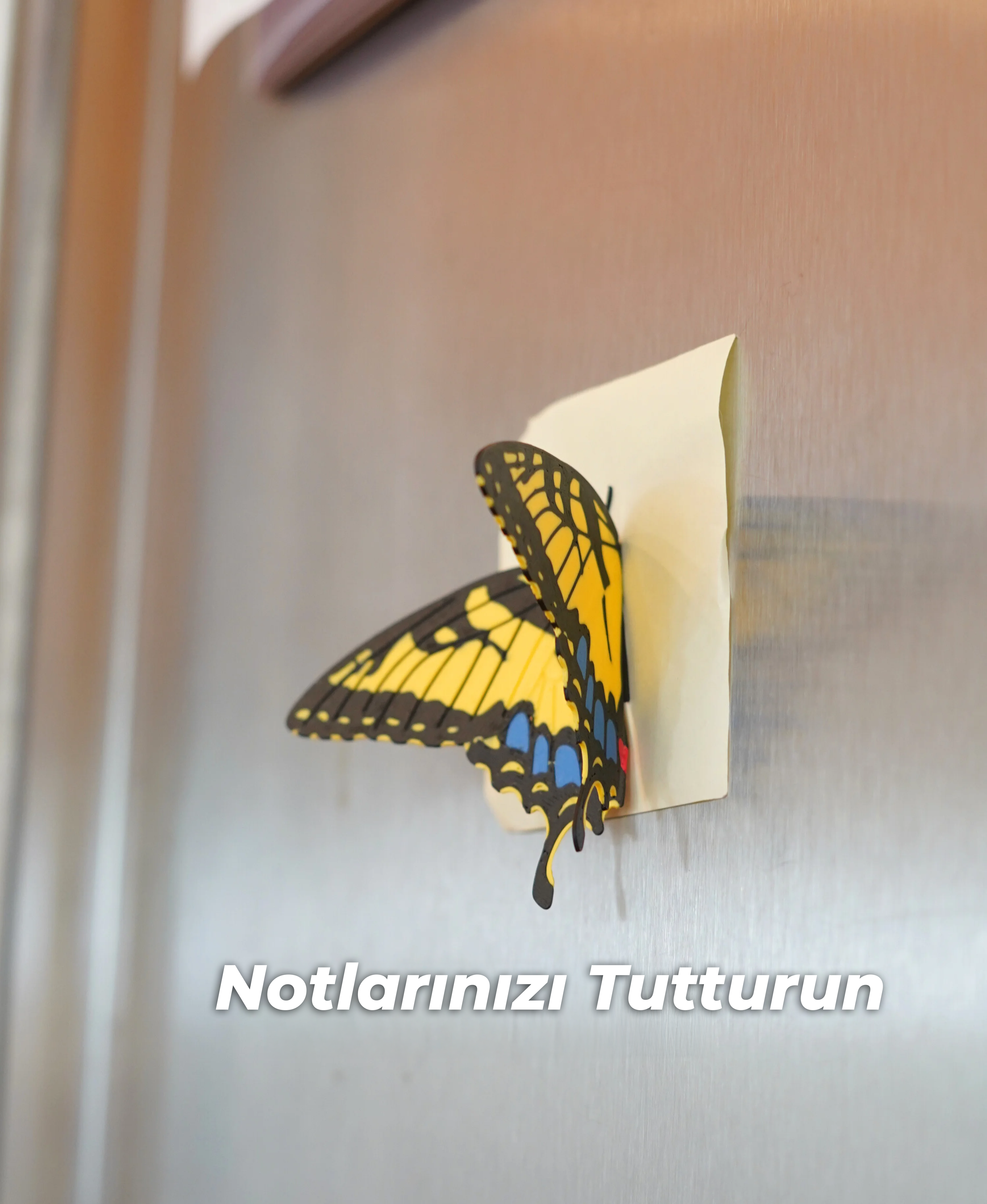 Kelebek Mıknatıslar