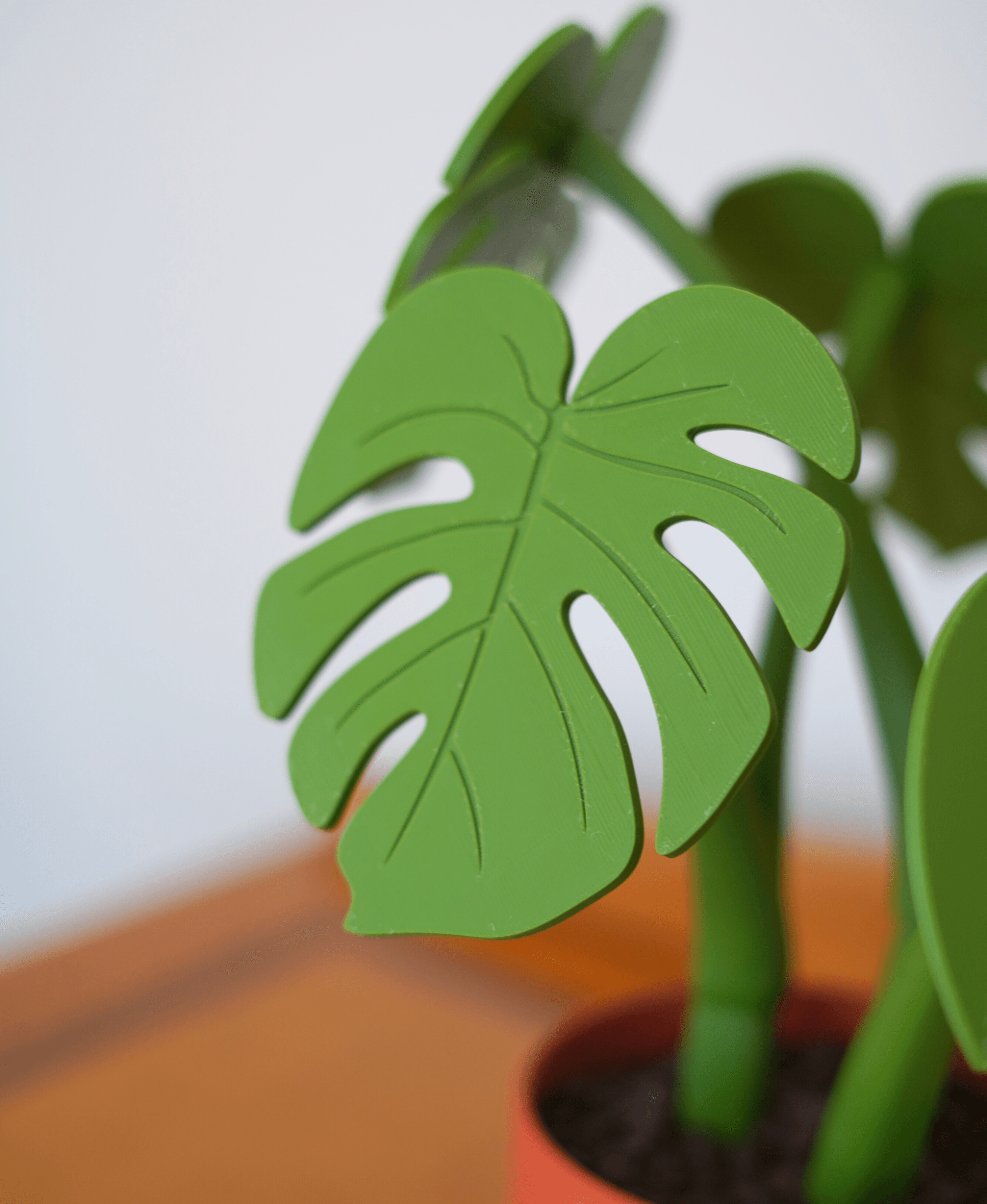 Monstera Altlık Seti