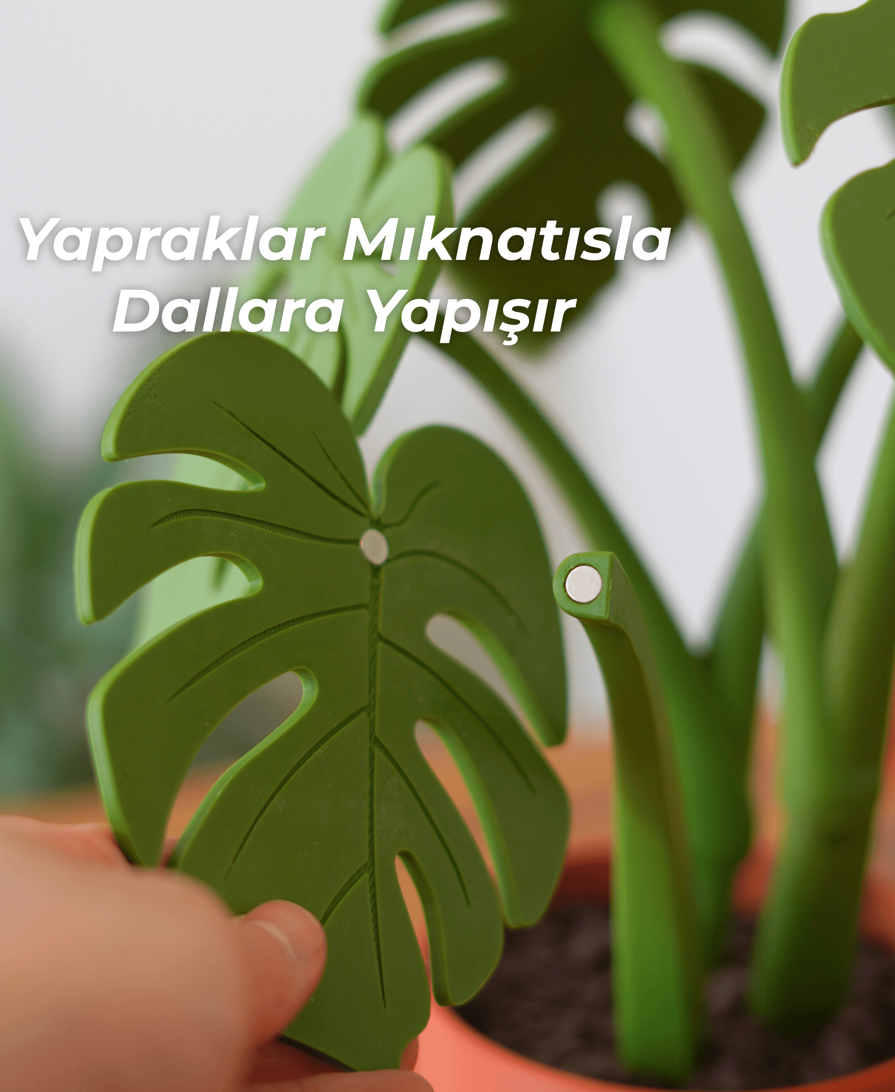 Monstera Kolçak ve Altlık Seti