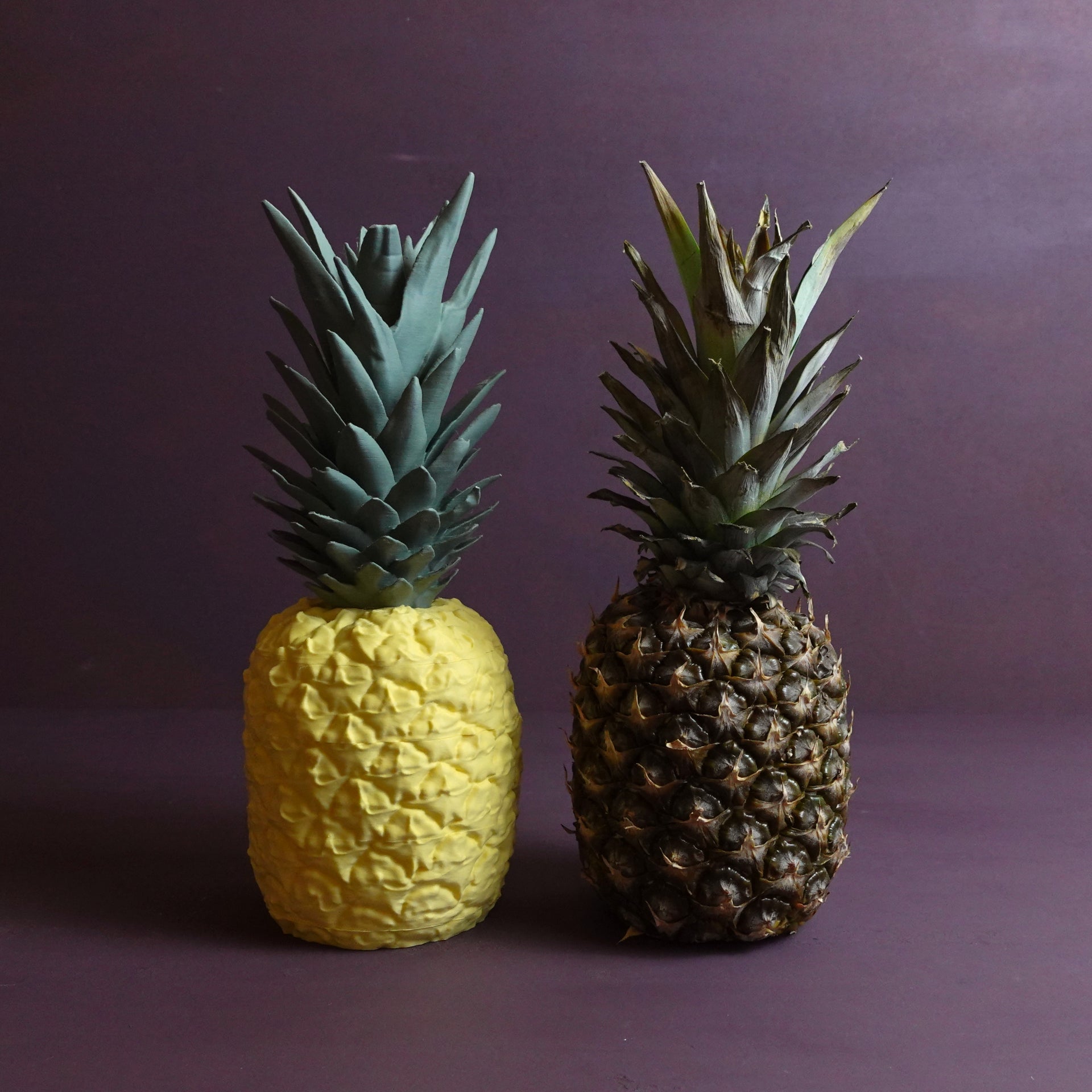 Ananas Saklama Kabı