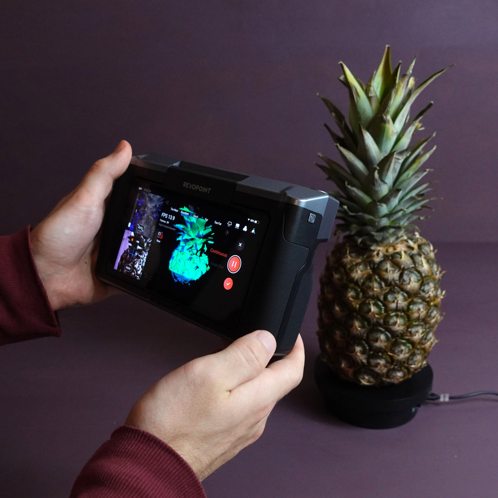 Ananas Saklama Kabı
