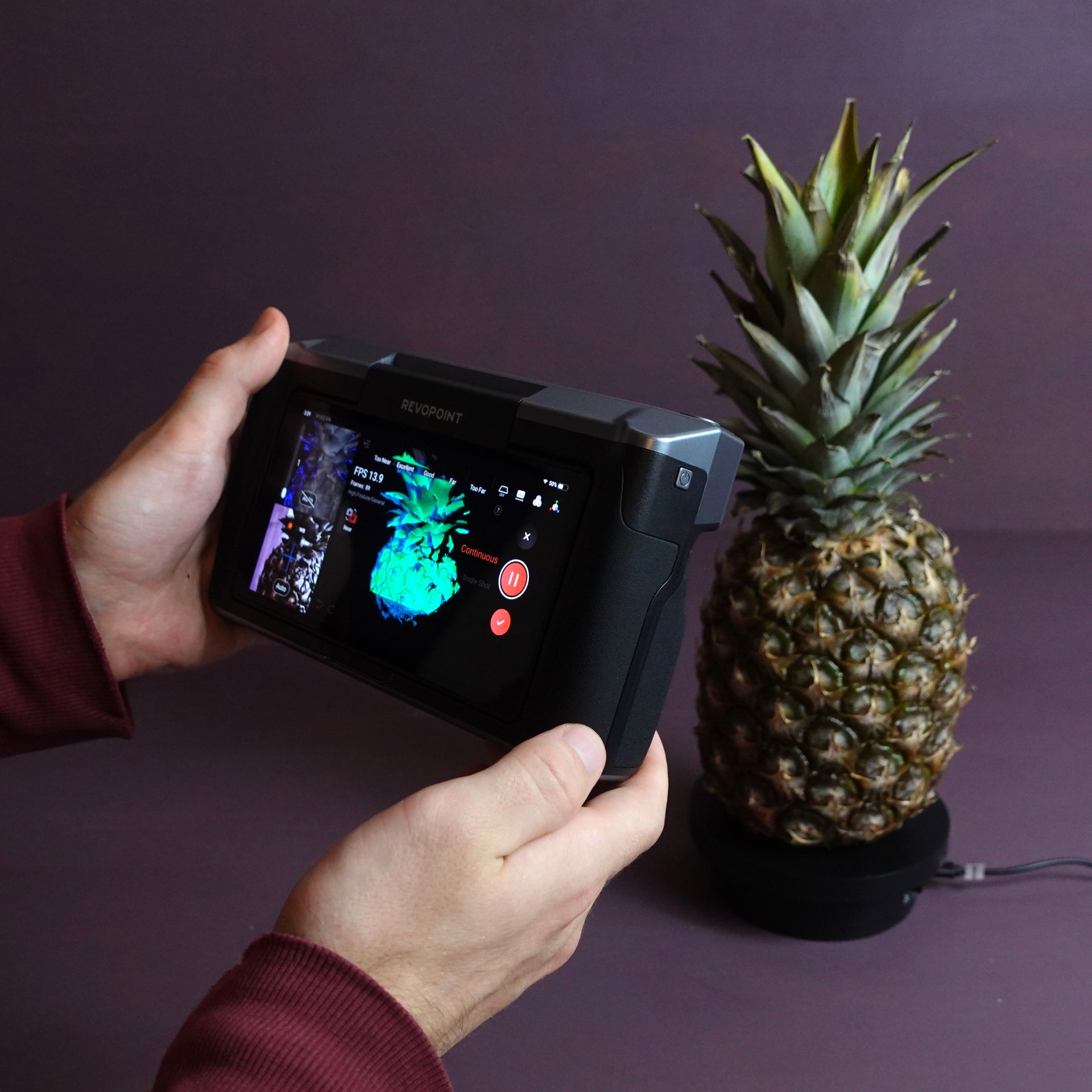 Ananas Saklama Kabı