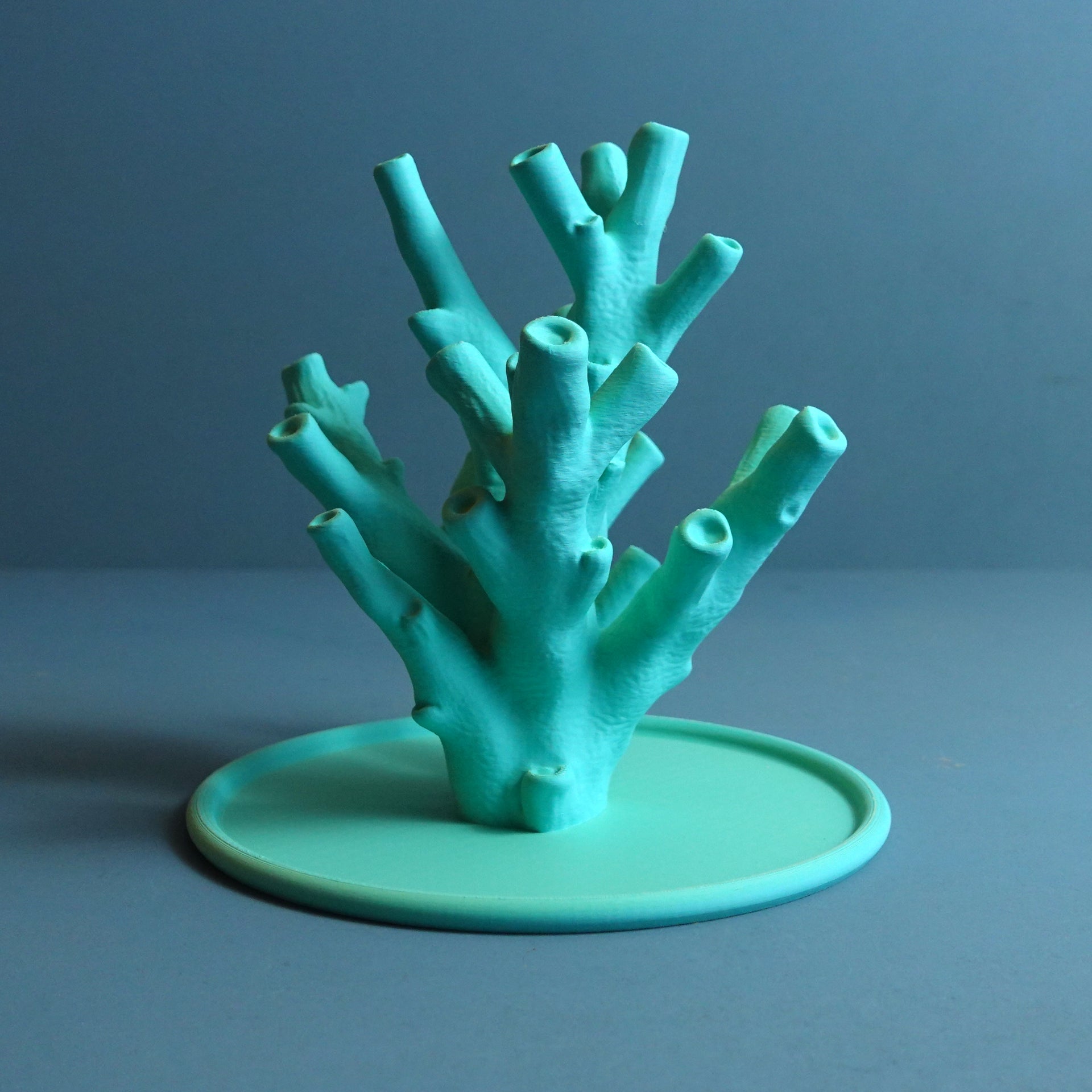 Takı Standı - Echinata Coral