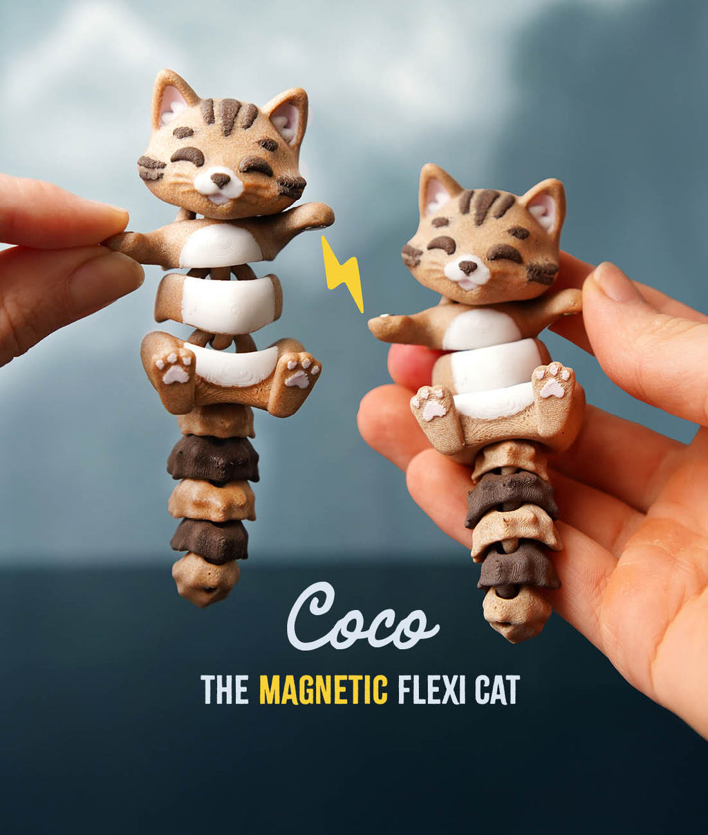 Coco El Ele Tutuşan Kedi