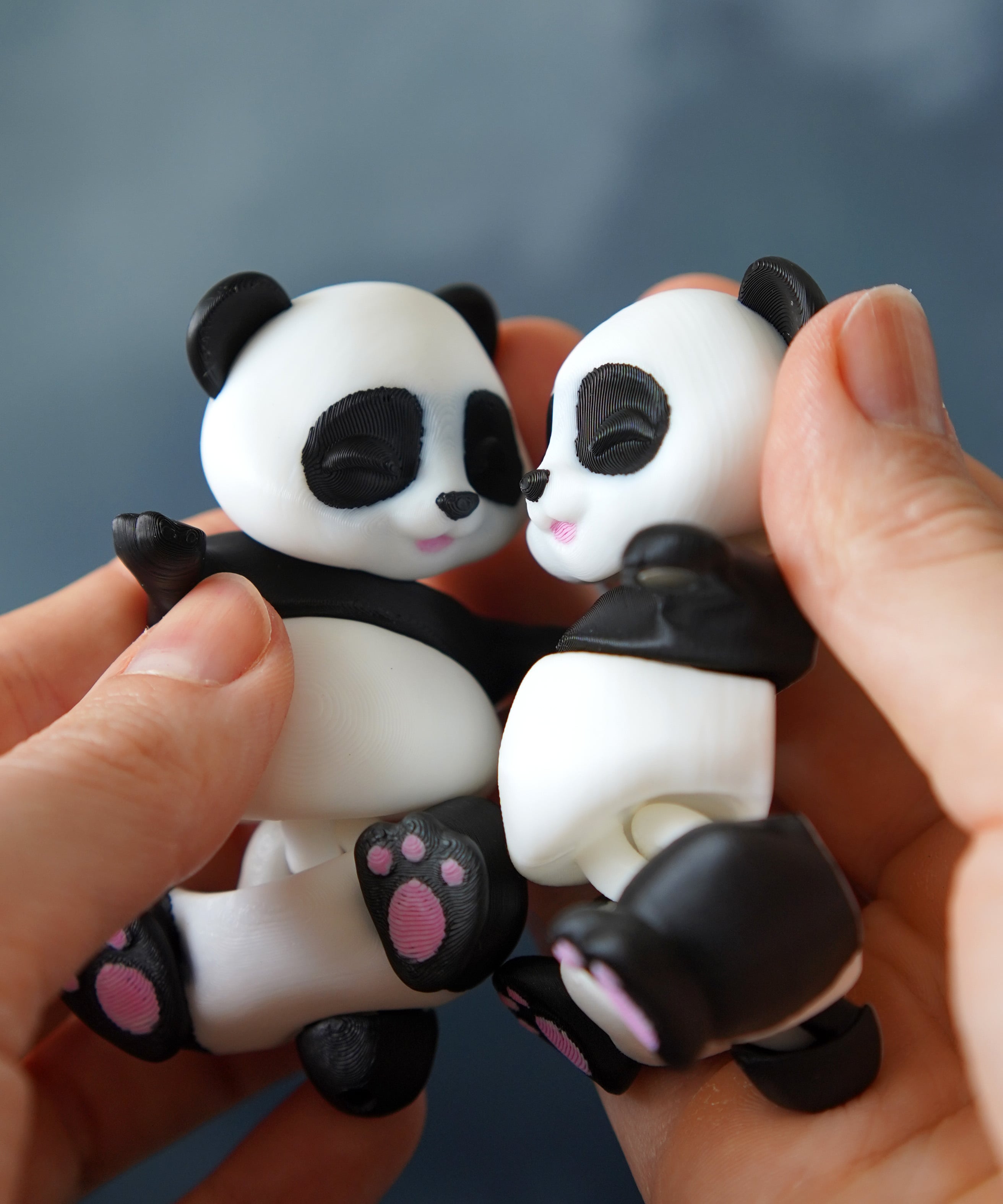 Peng El Ele Tutuşan Panda