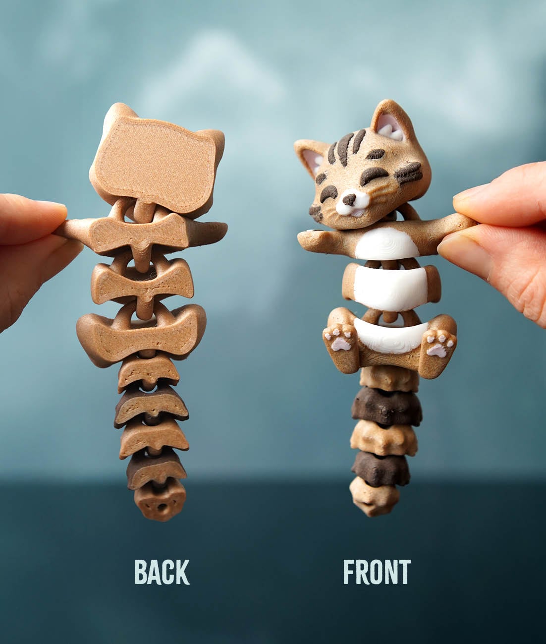 Coco El Ele Tutuşan Kedi
