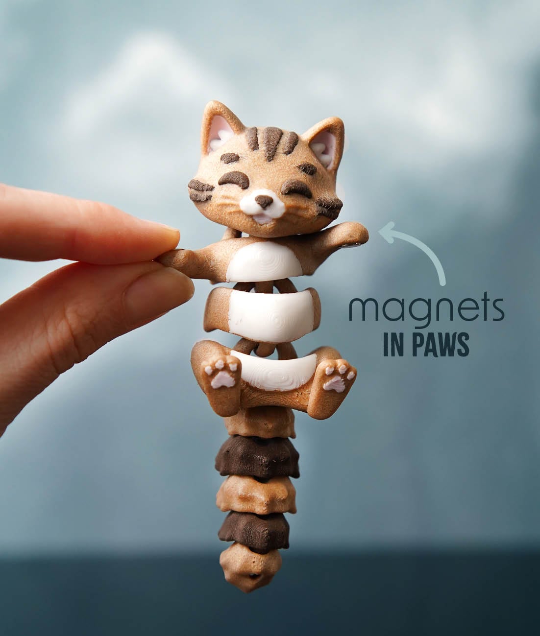 Coco El Ele Tutuşan Kedi