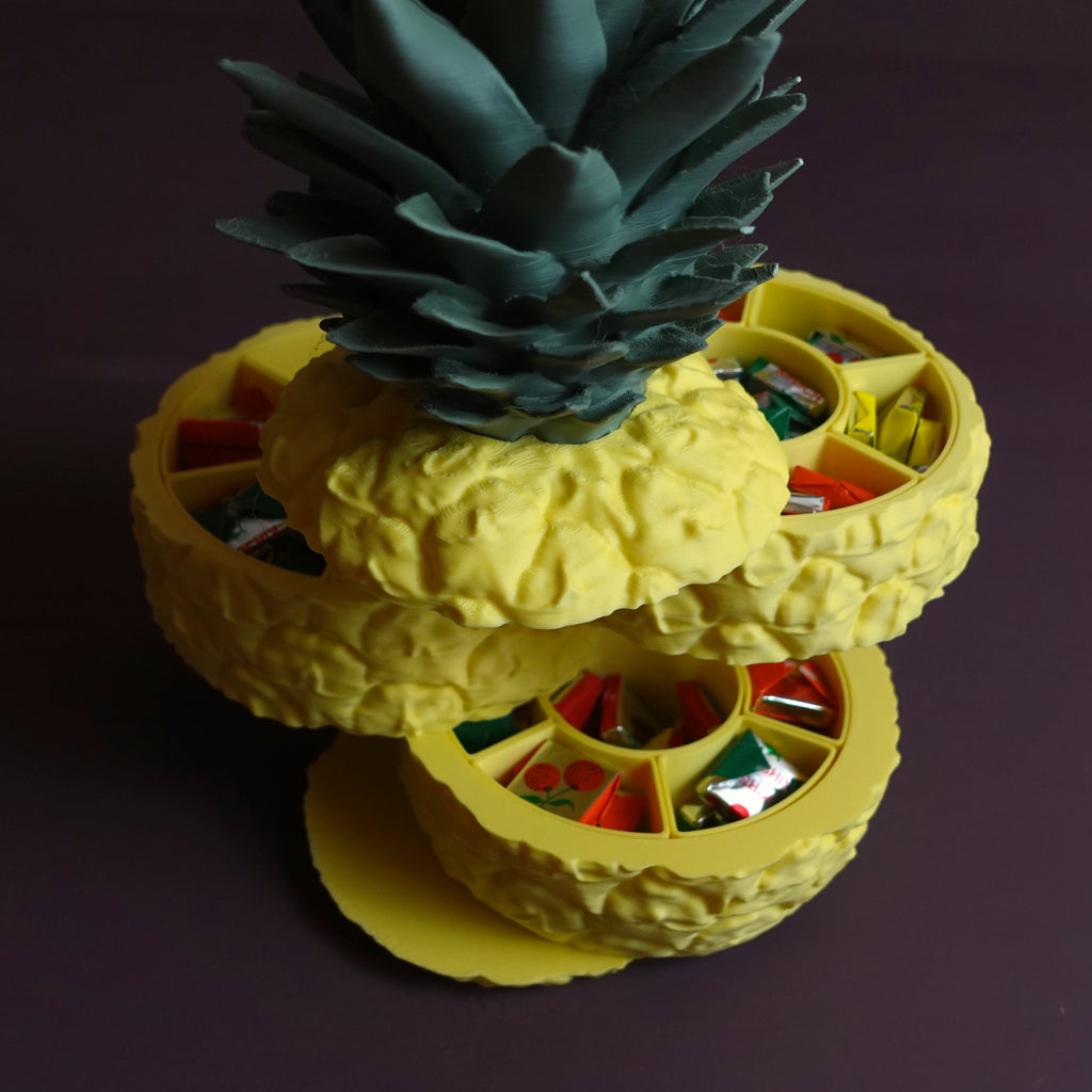 Ananas Saklama Kabı