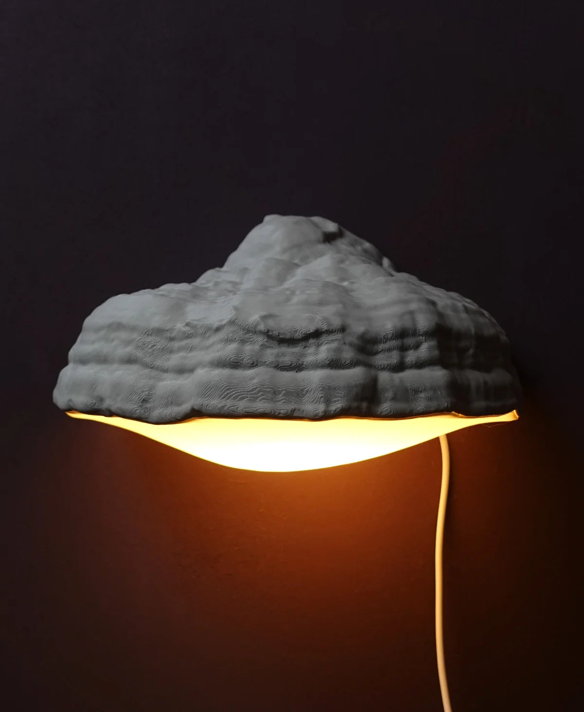 Fomes Fomentarius Duvar Lambası