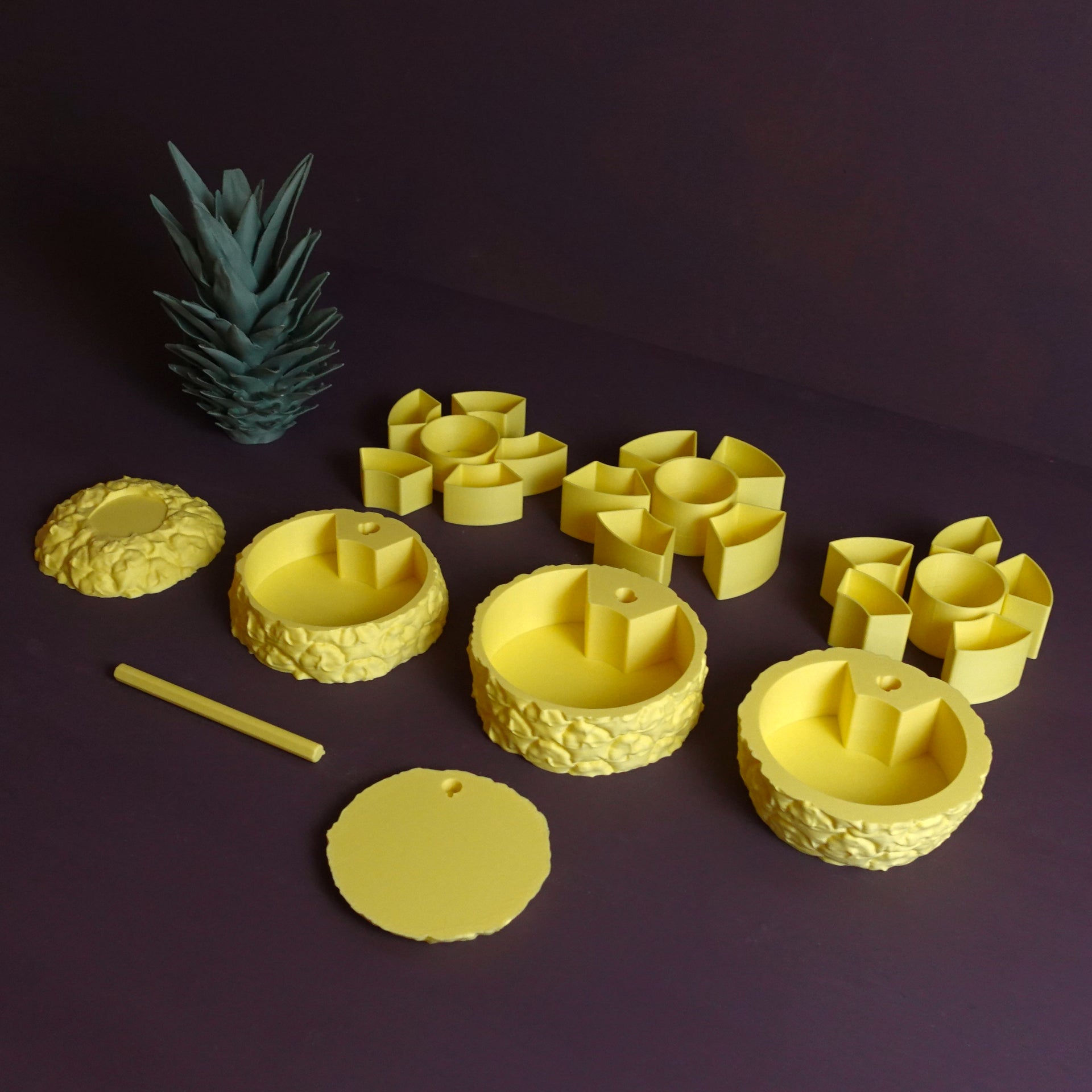 Ananas Saklama Kabı