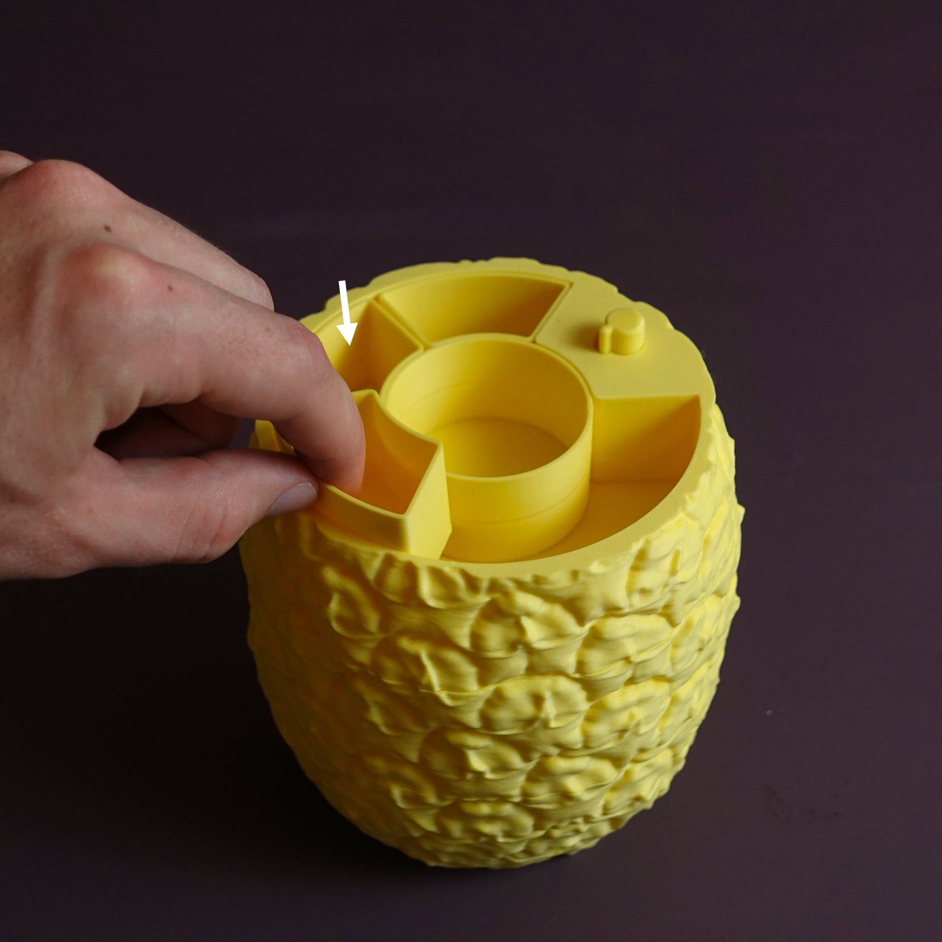 Ananas Saklama Kabı