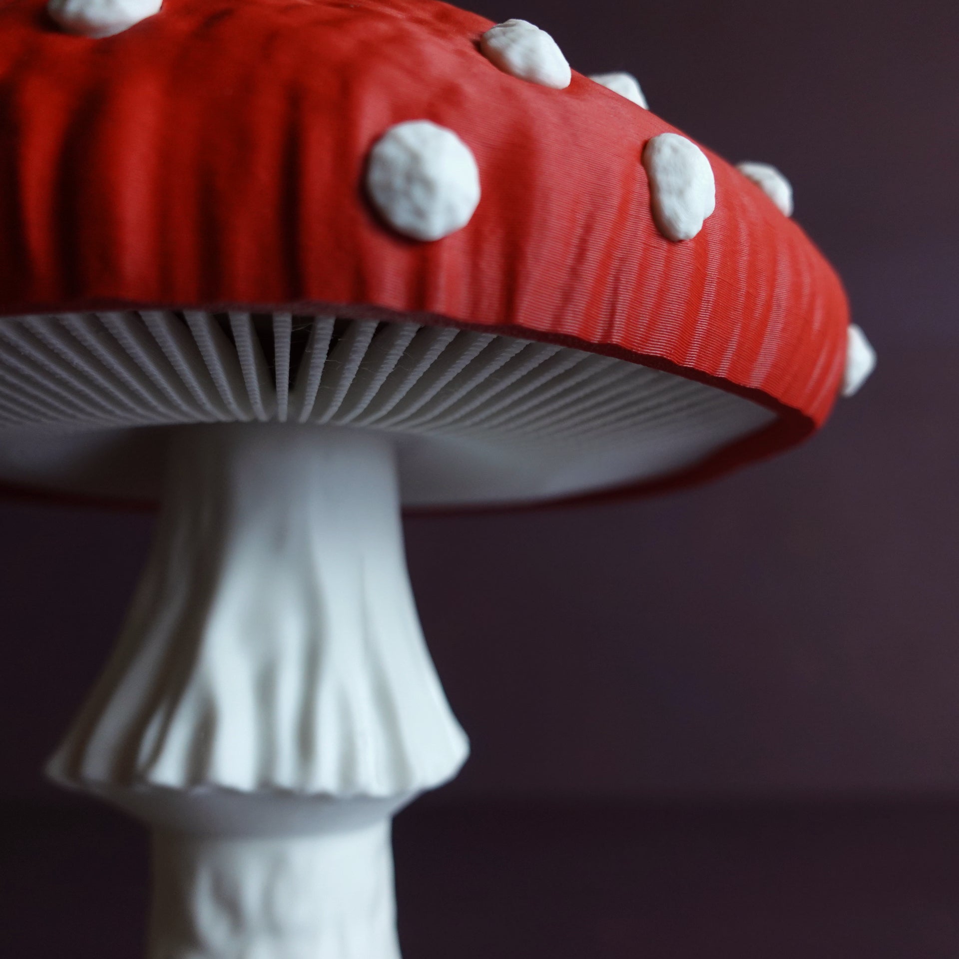Amanita Muscaria Lamba