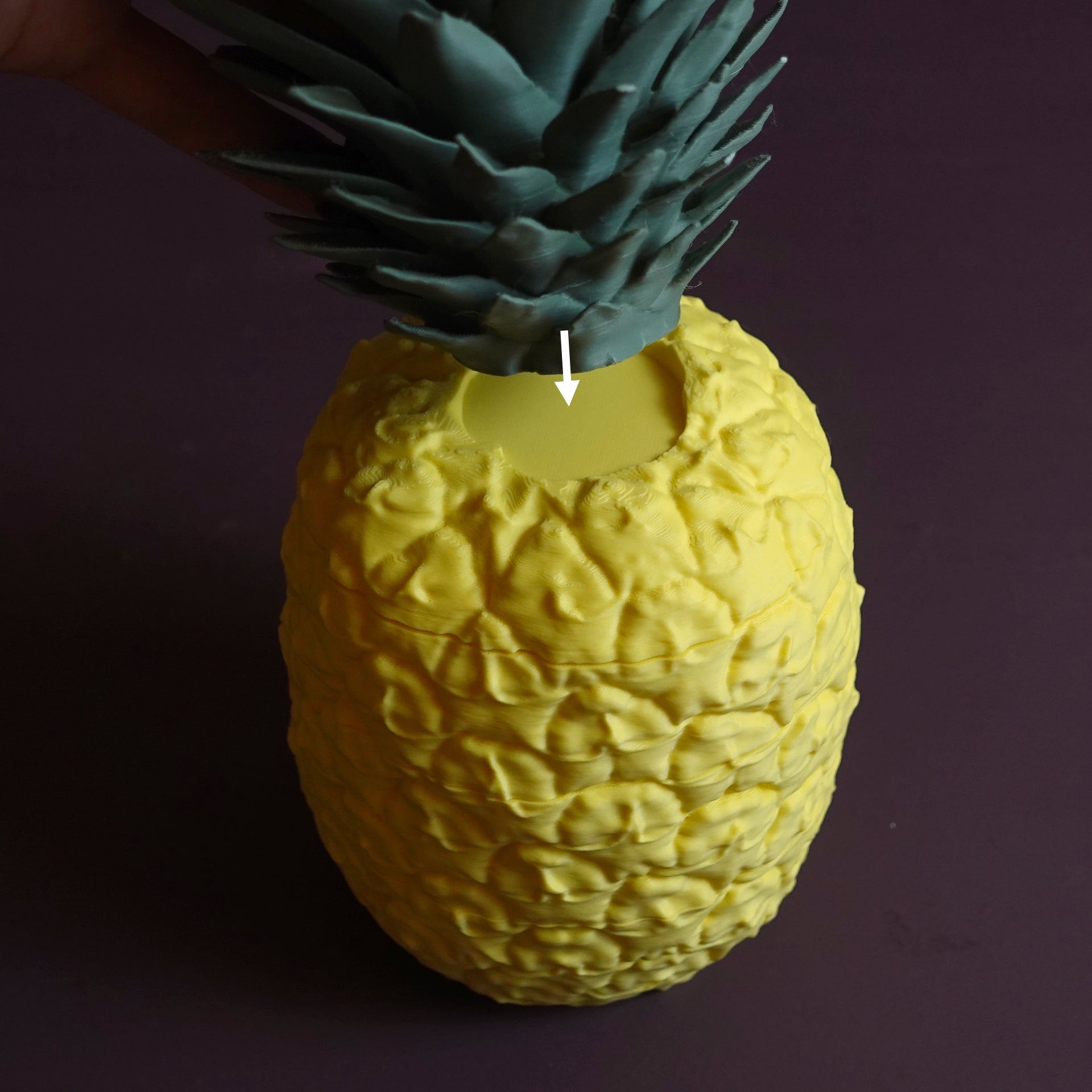 Ananas Saklama Kabı