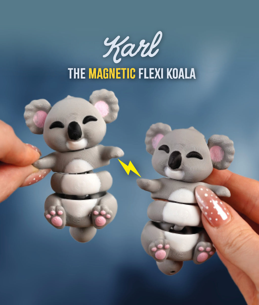 Karl El Ele Tutuşan Koala