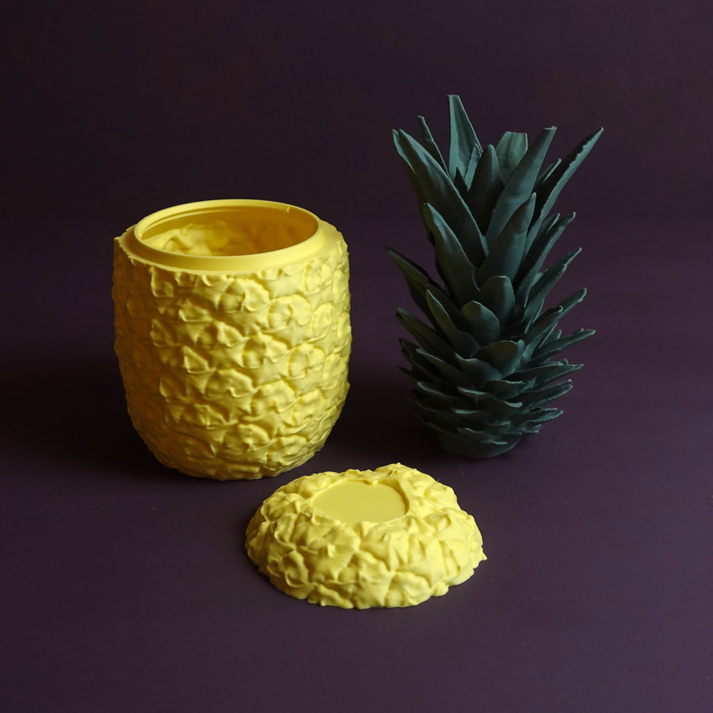 Ananas Saklama Kabı