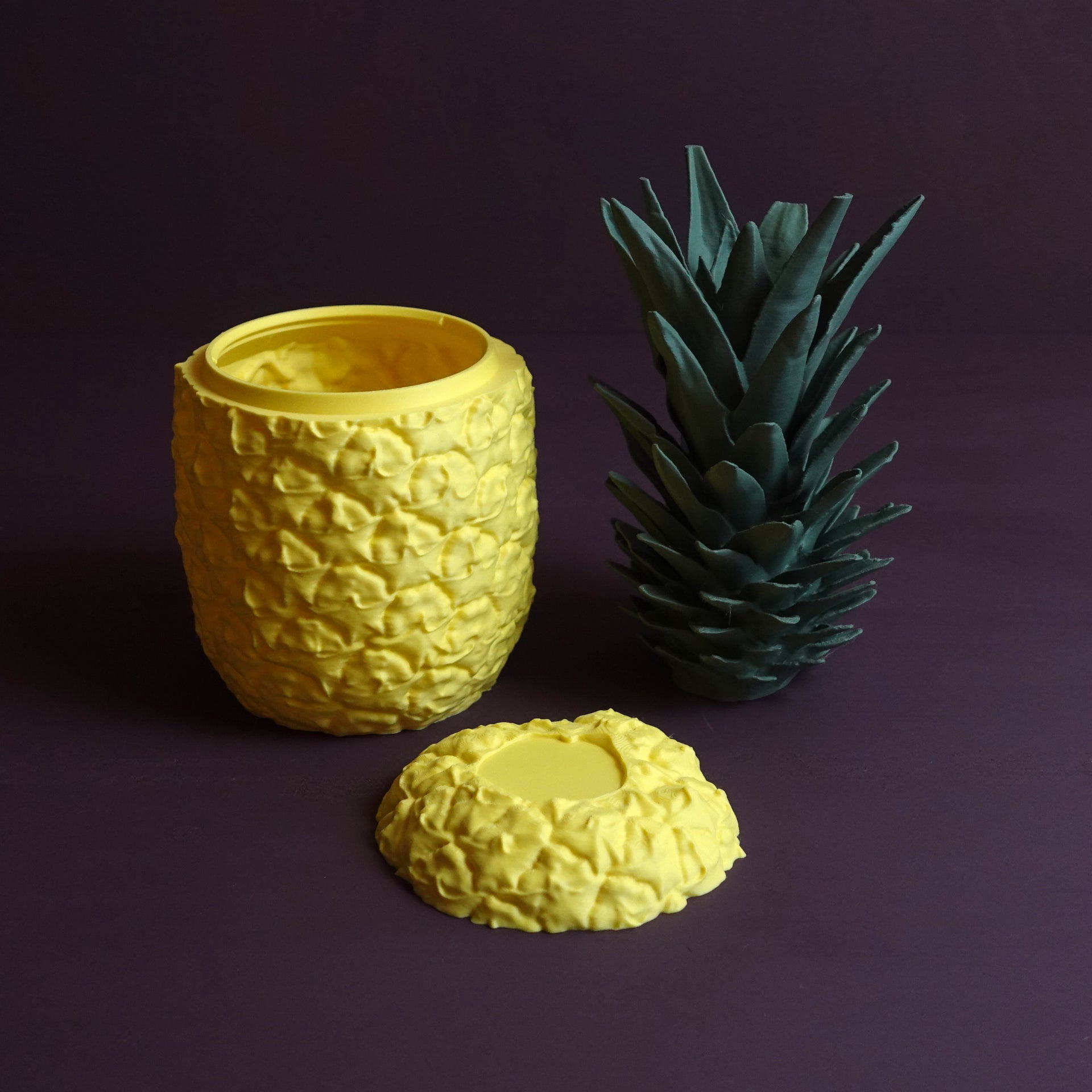 Ananas Saklama Kabı