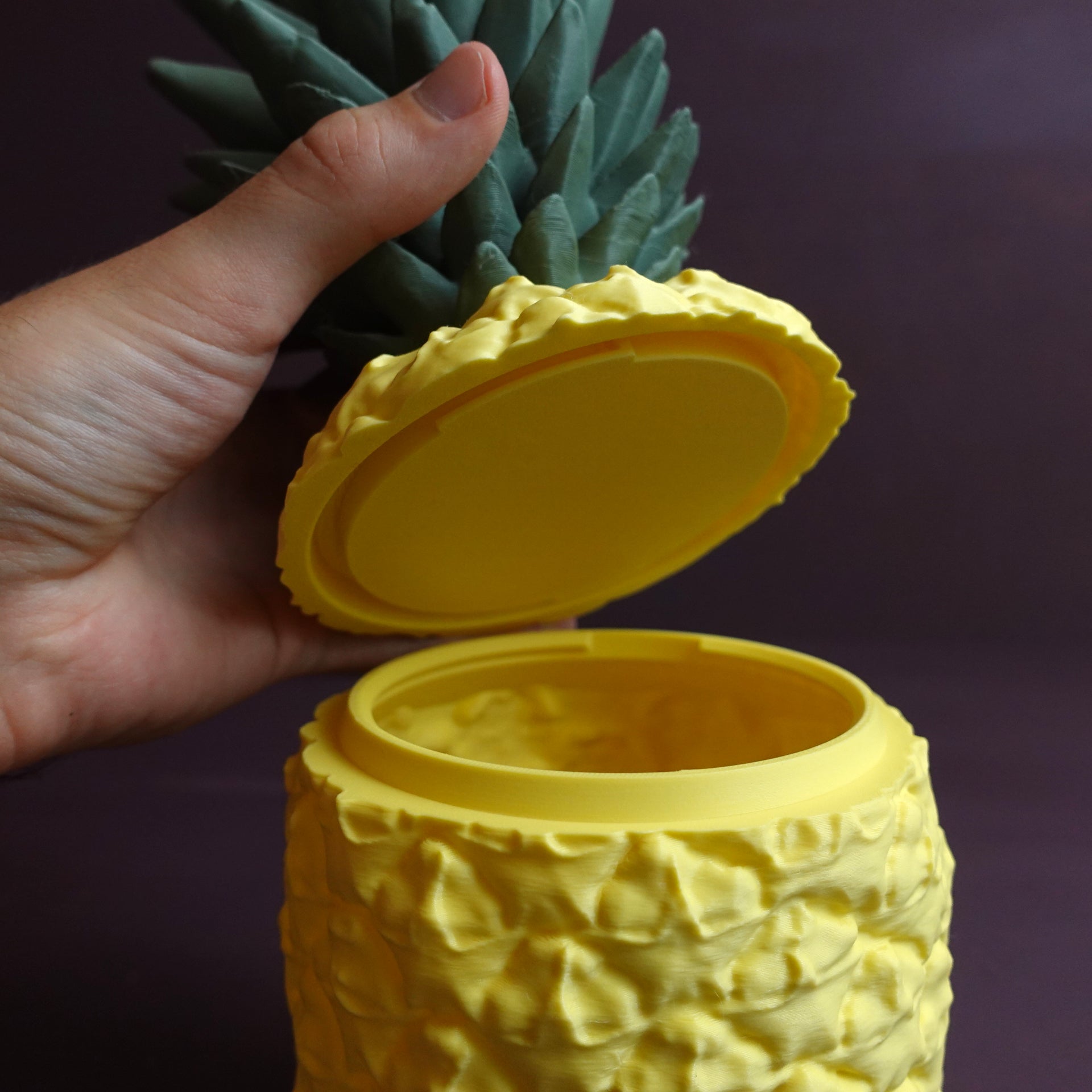 Ananas Saklama Kabı