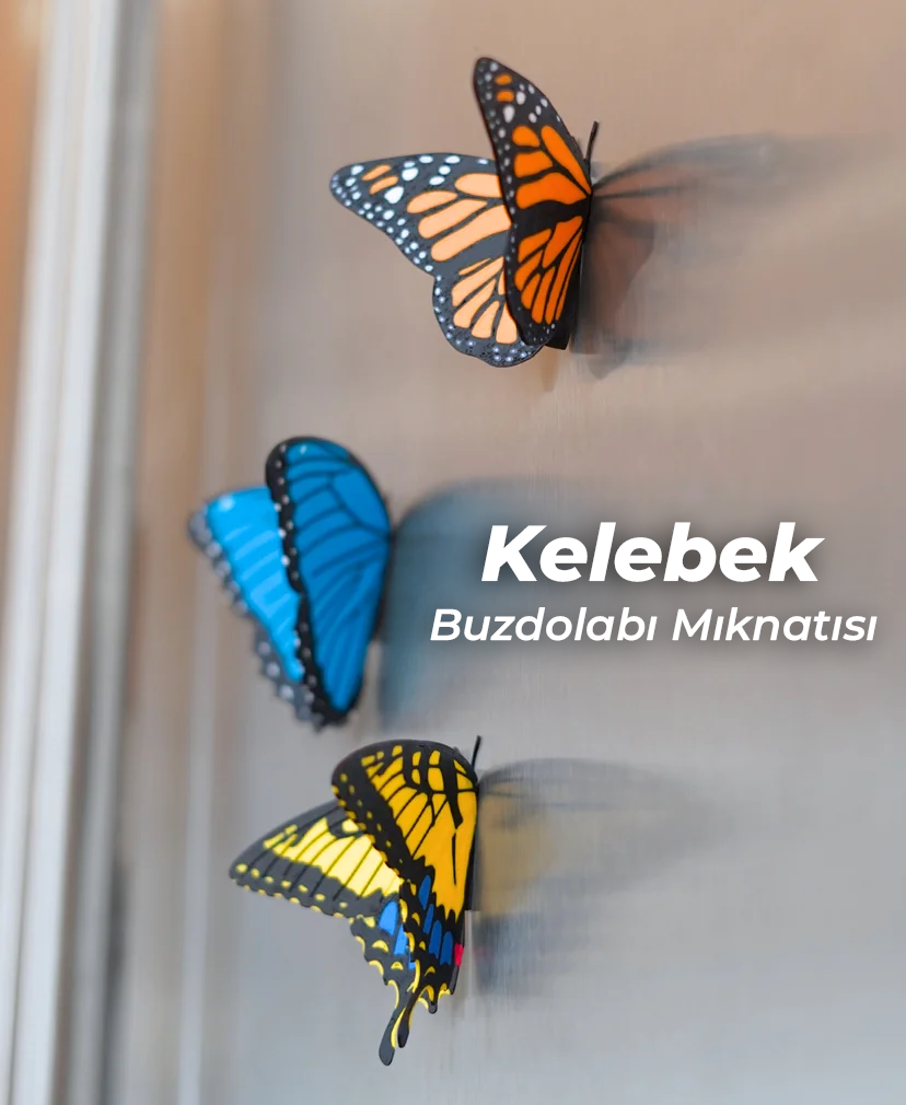 Kelebek Mıknatıslar