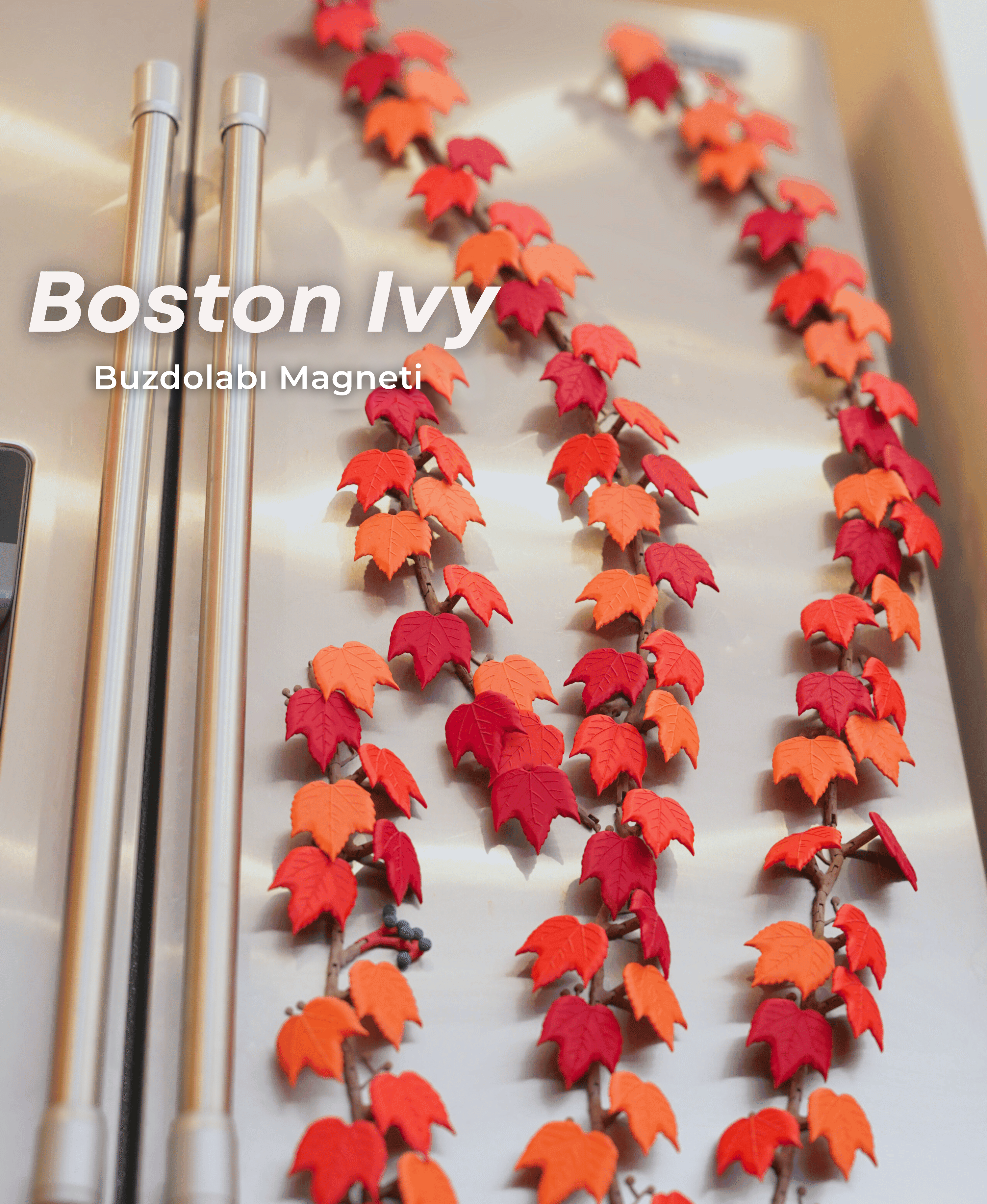 Boston Ivy Buzdolabı Magneti