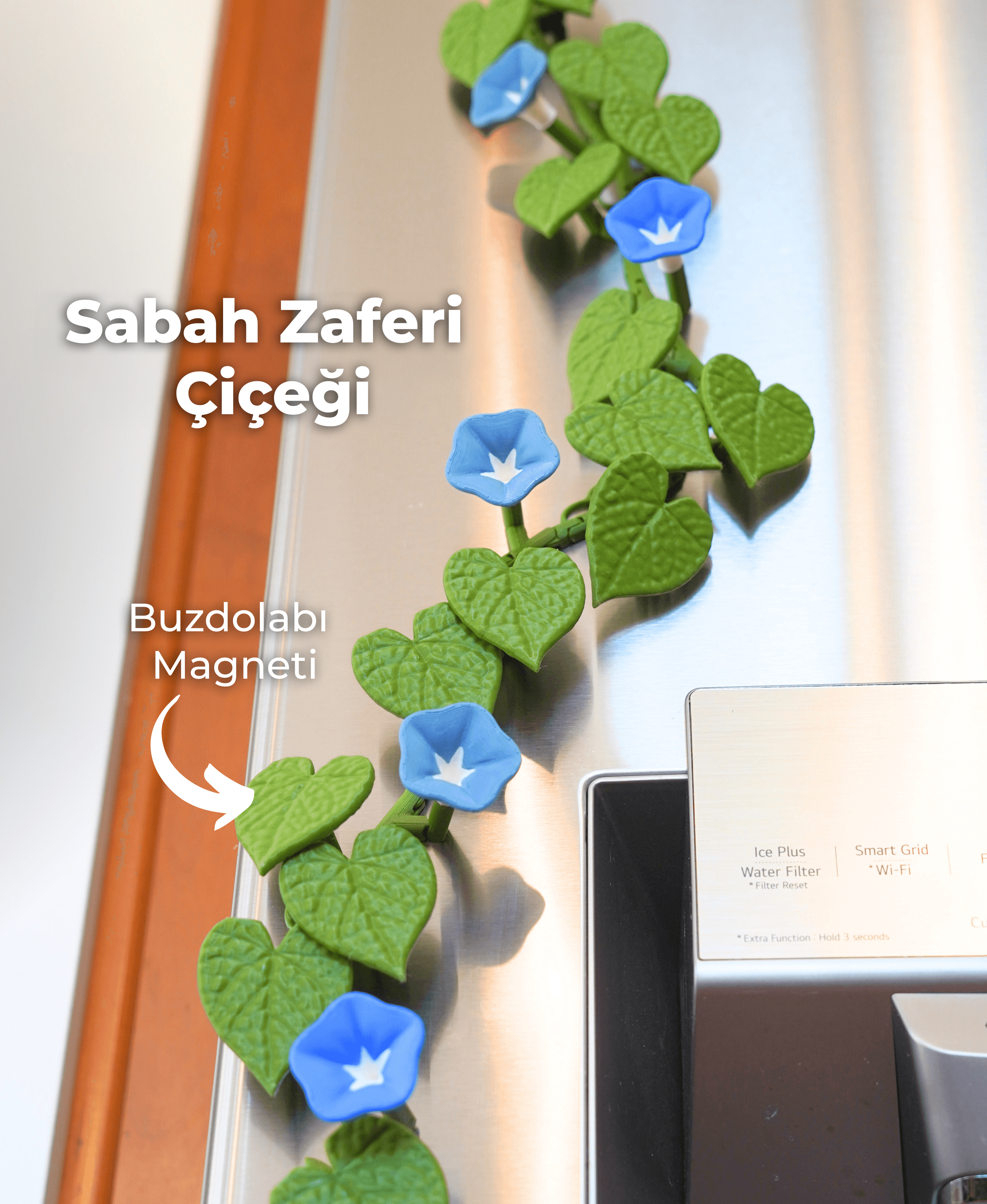 Sabah Zaferi Çiçeği