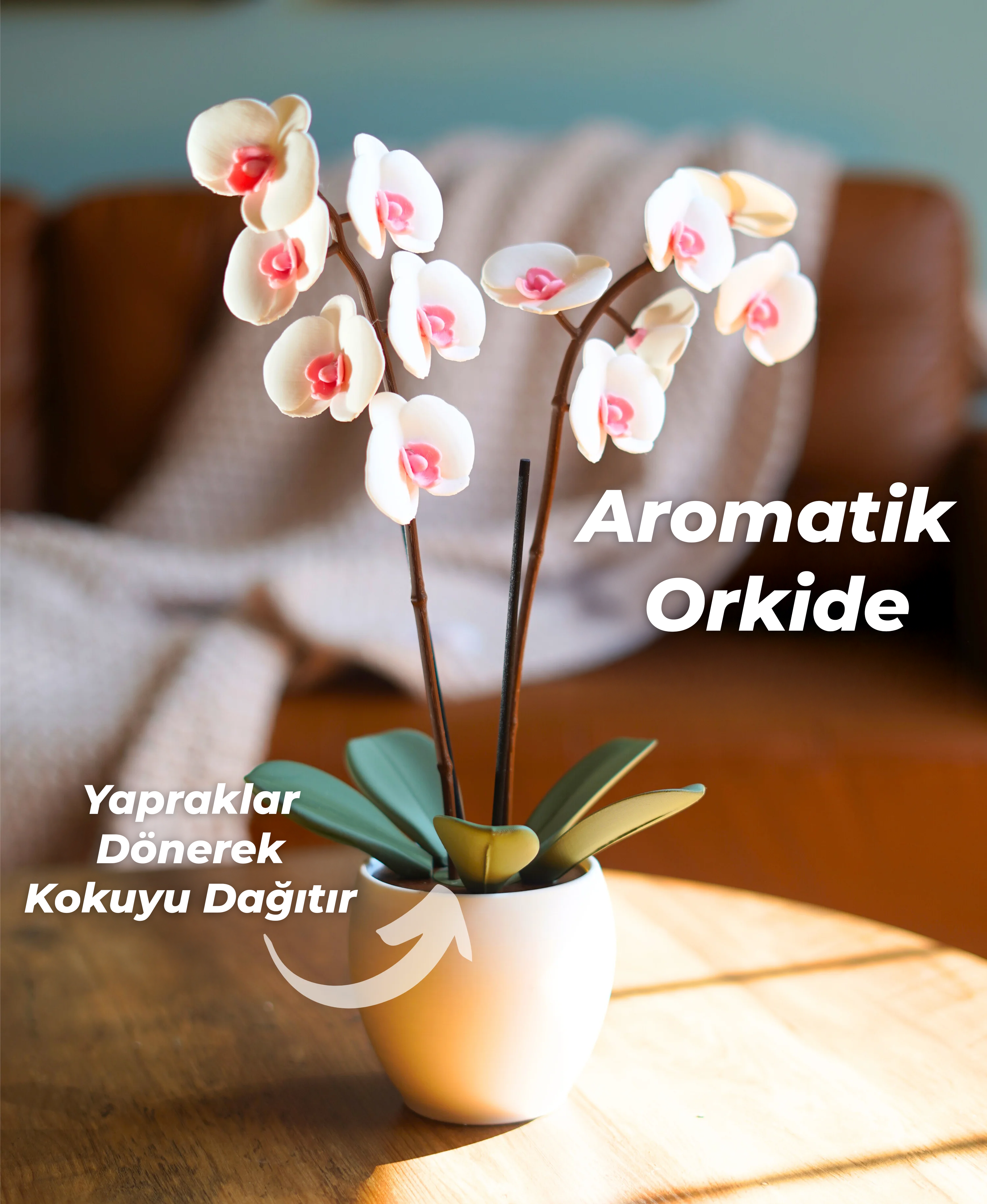 Aromatik Orkide