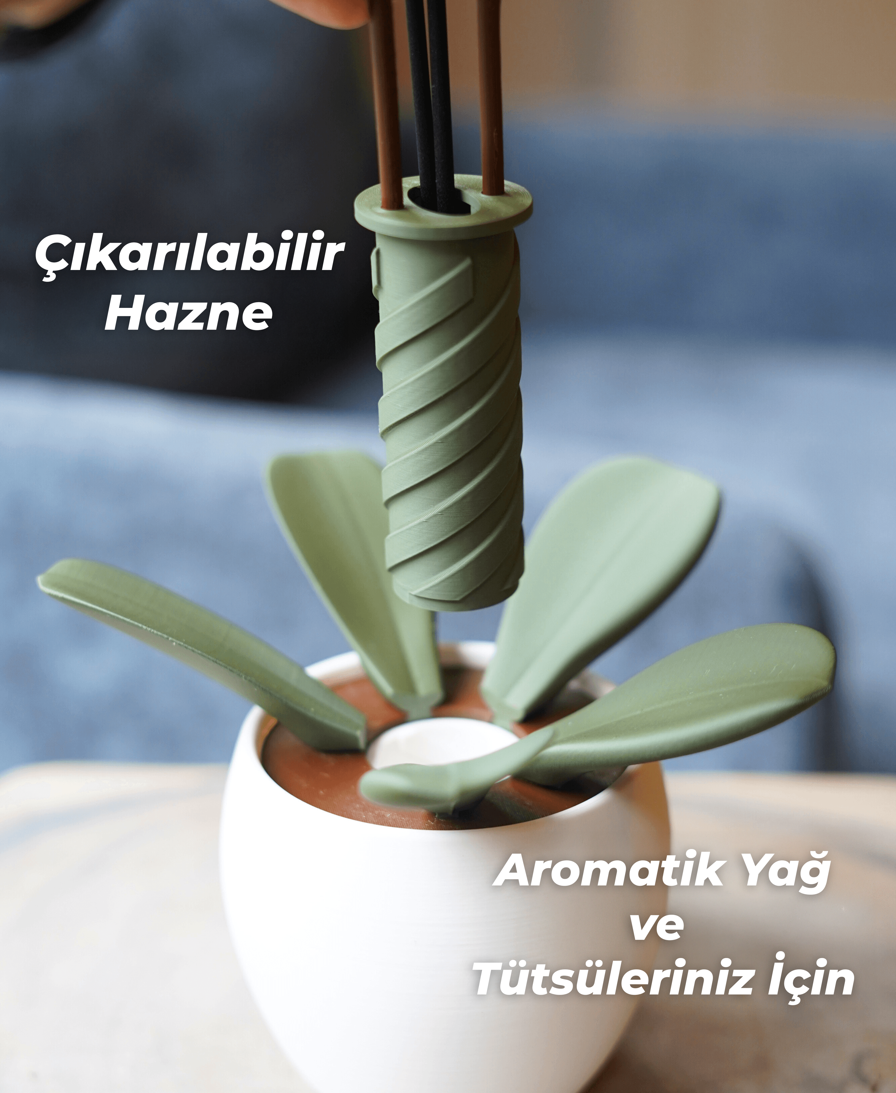 Aromatik Orkide