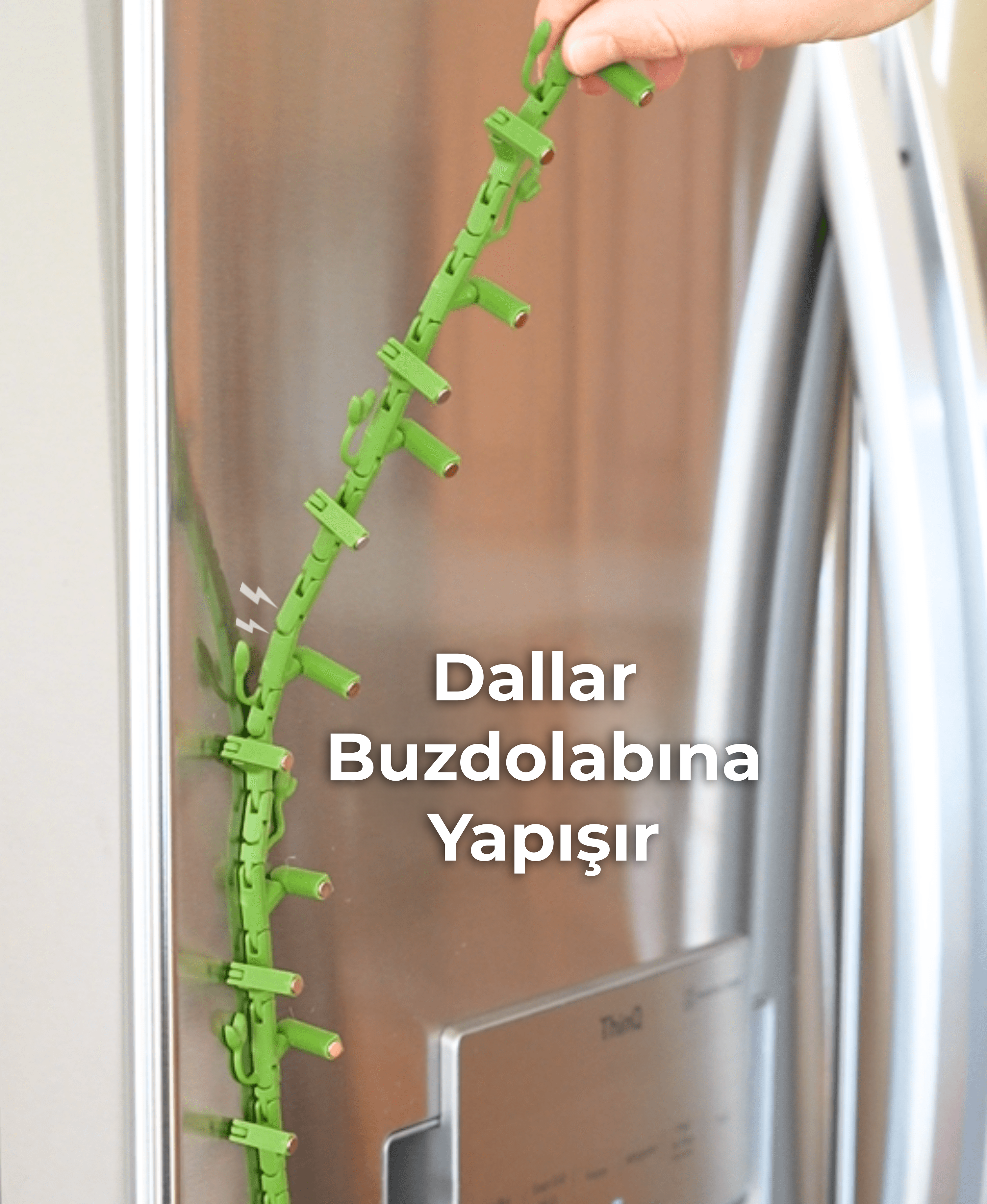 Sabah Zaferi Çiçeği