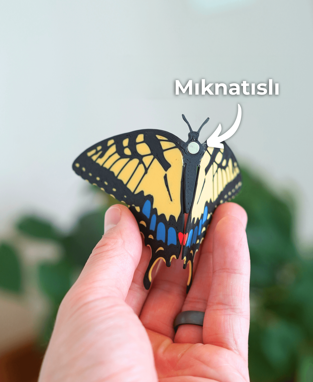 Kelebek Mıknatıslar