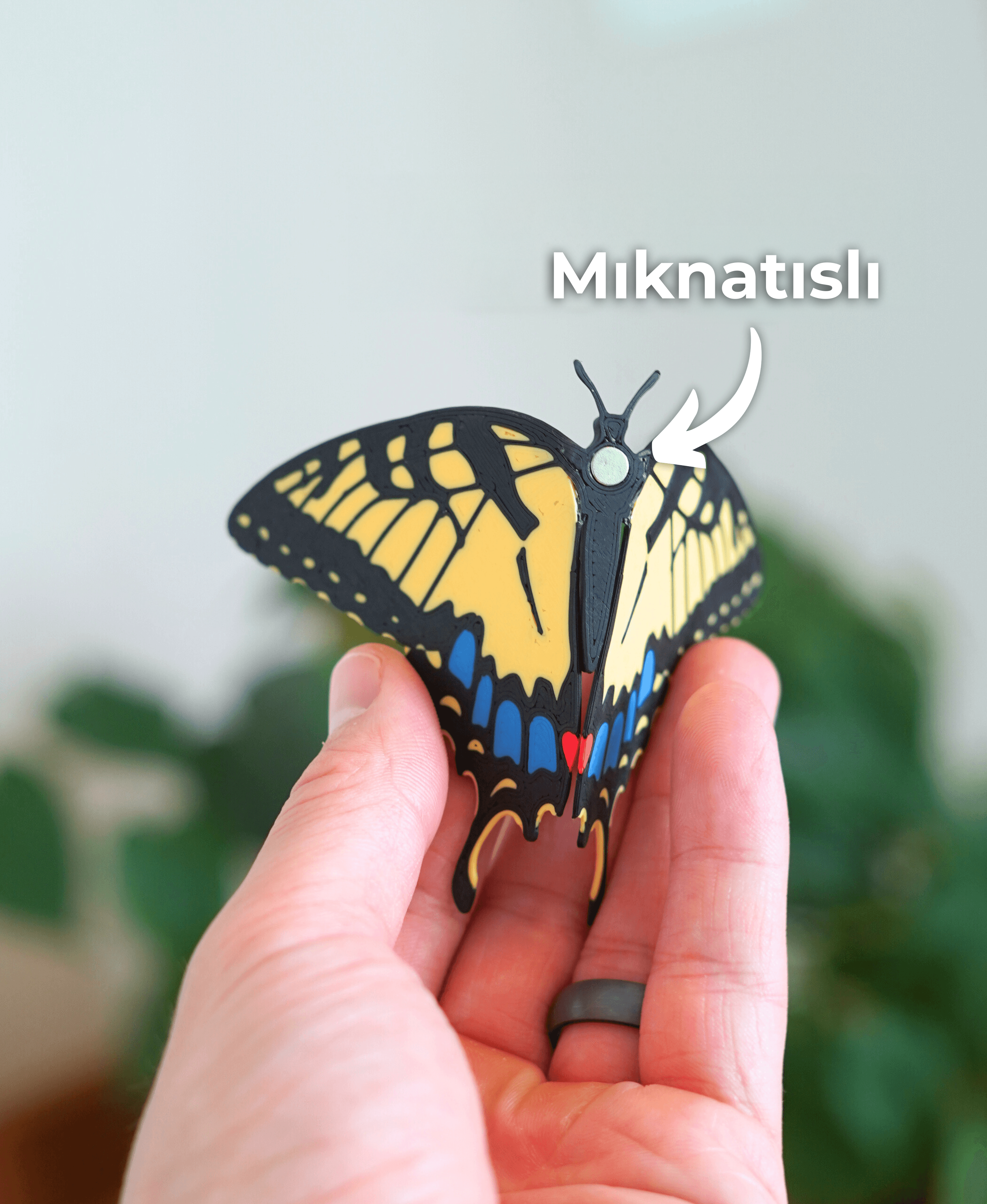 Kelebek Mıknatıslar