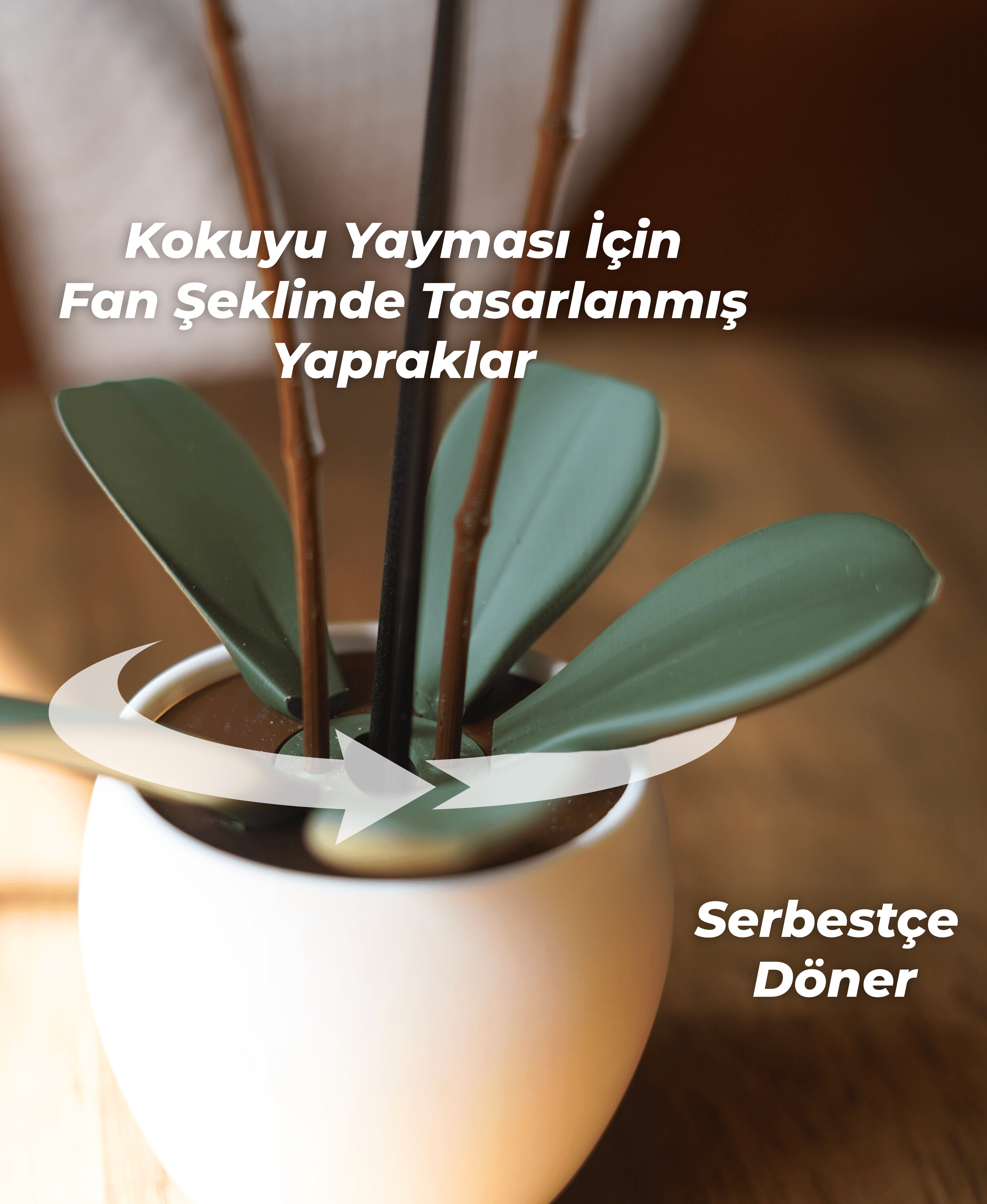 Aromatik Orkide