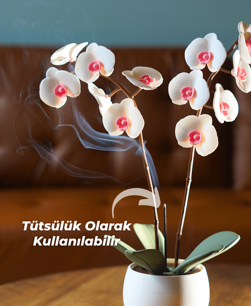 Aromatik Orkide