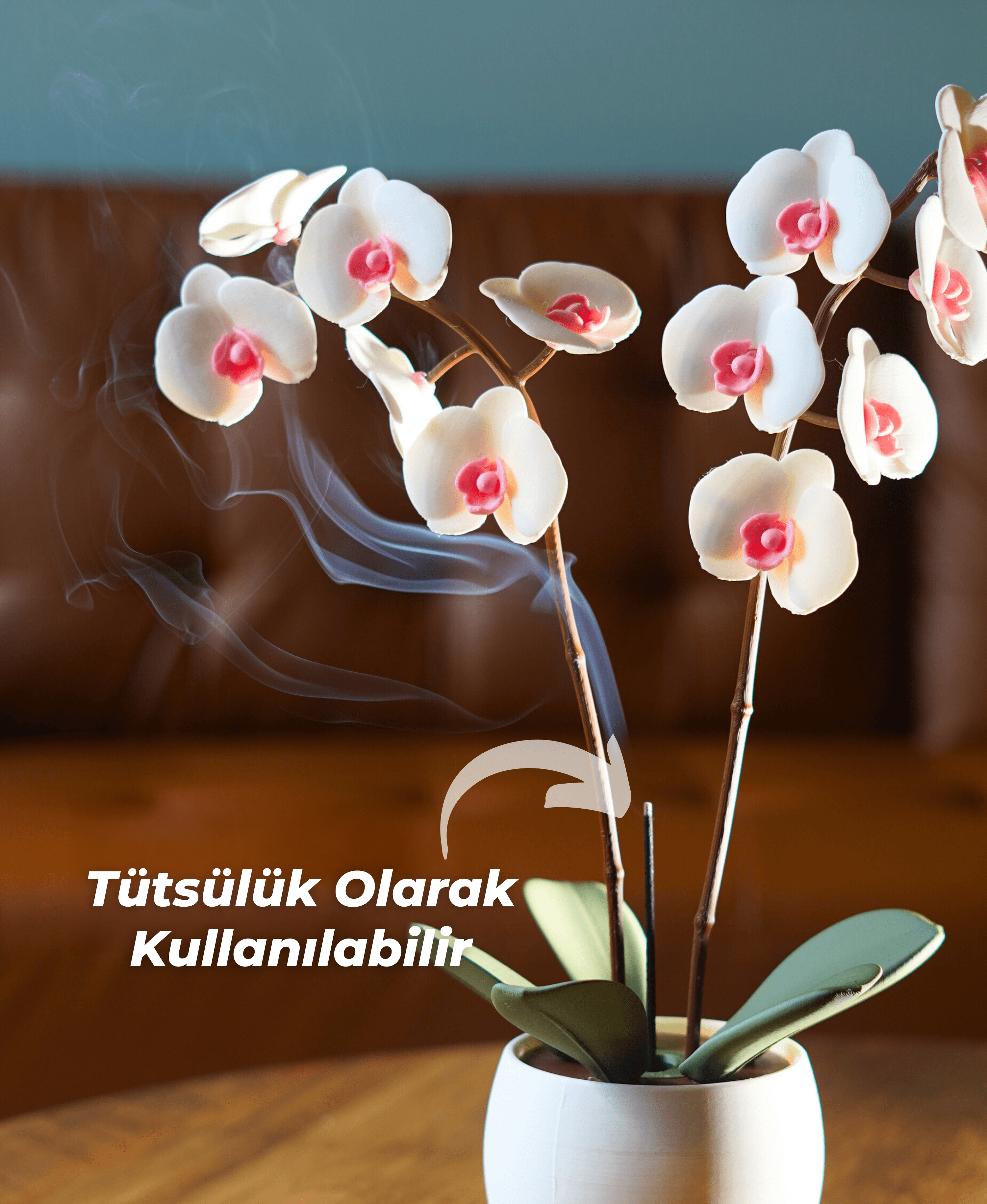 Aromatik Orkide