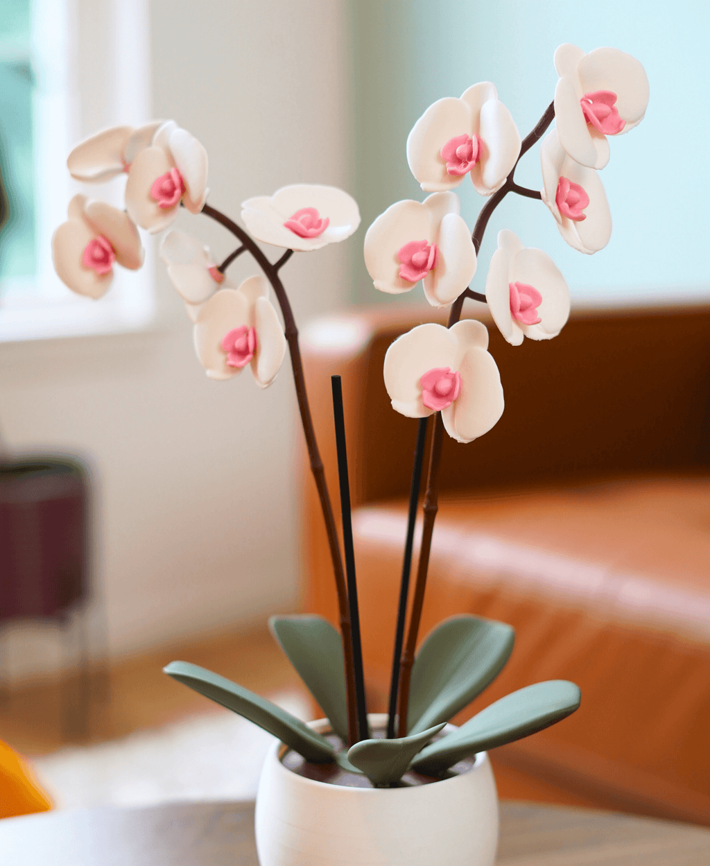 Aromatik Orkide