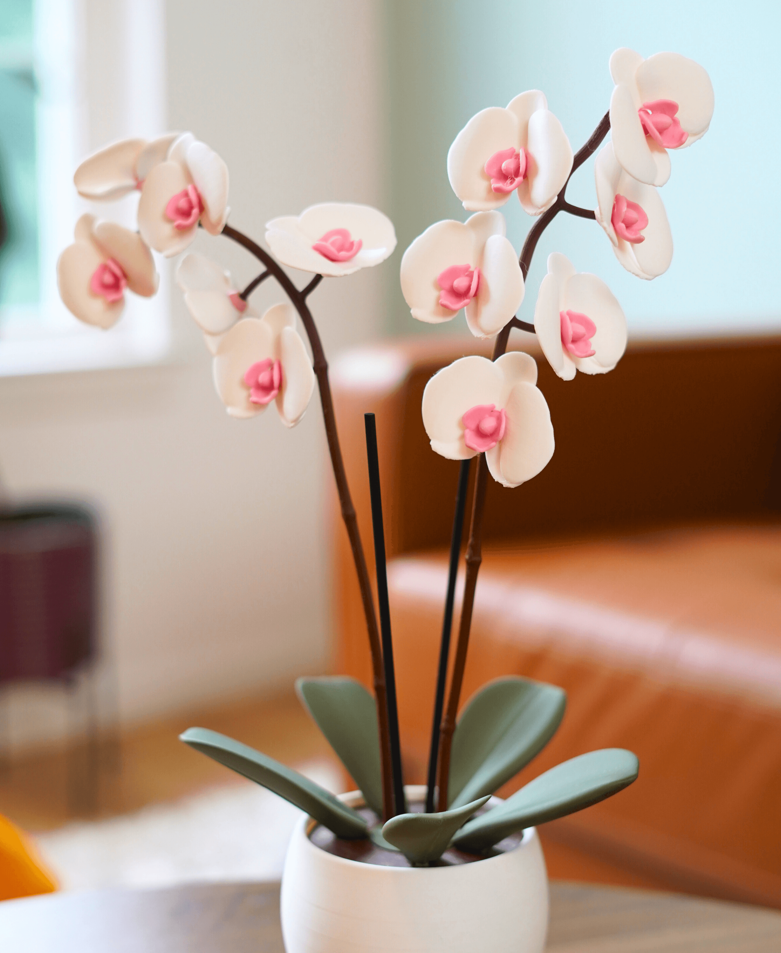 Aromatik Orkide