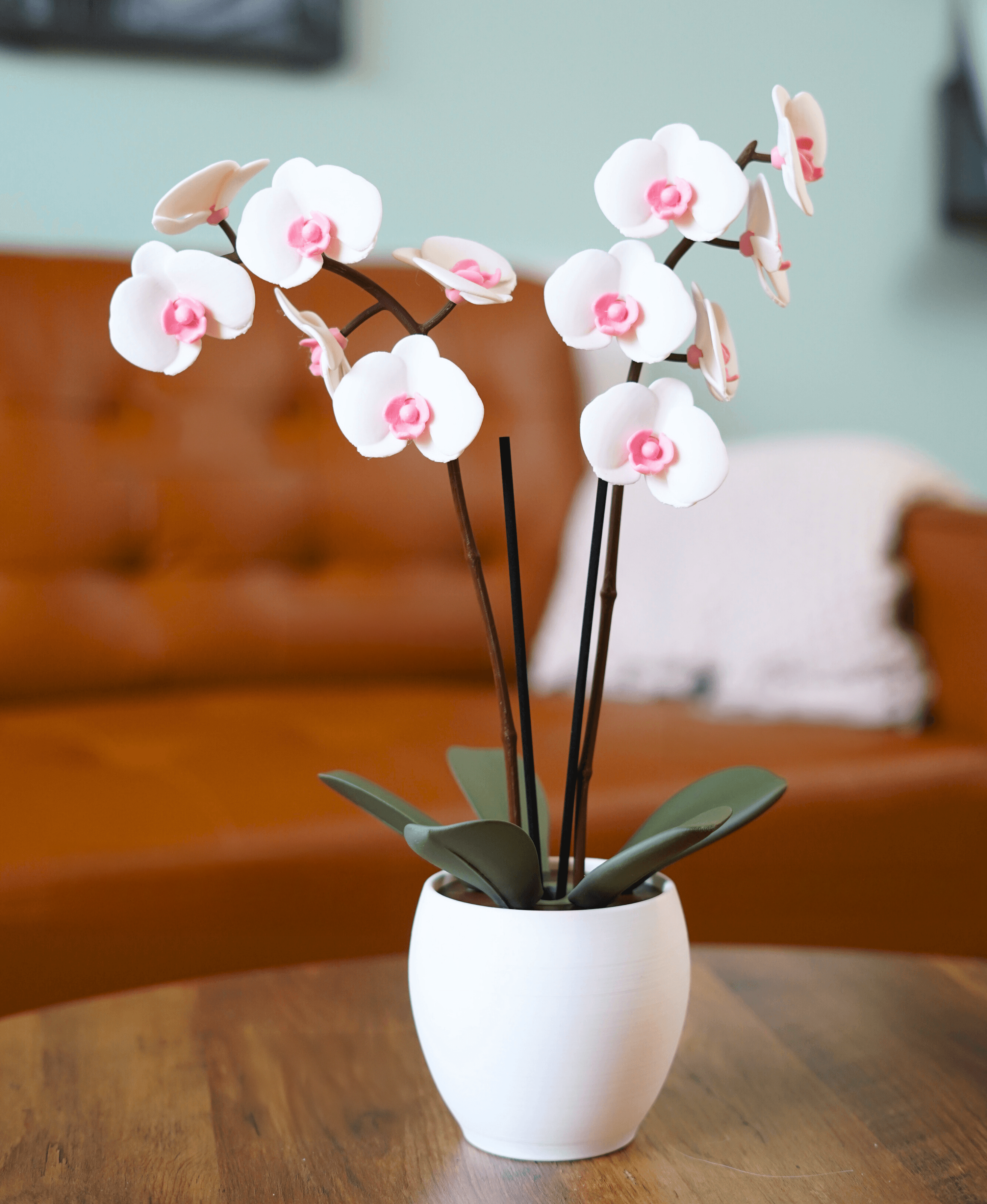 Aromatik Orkide