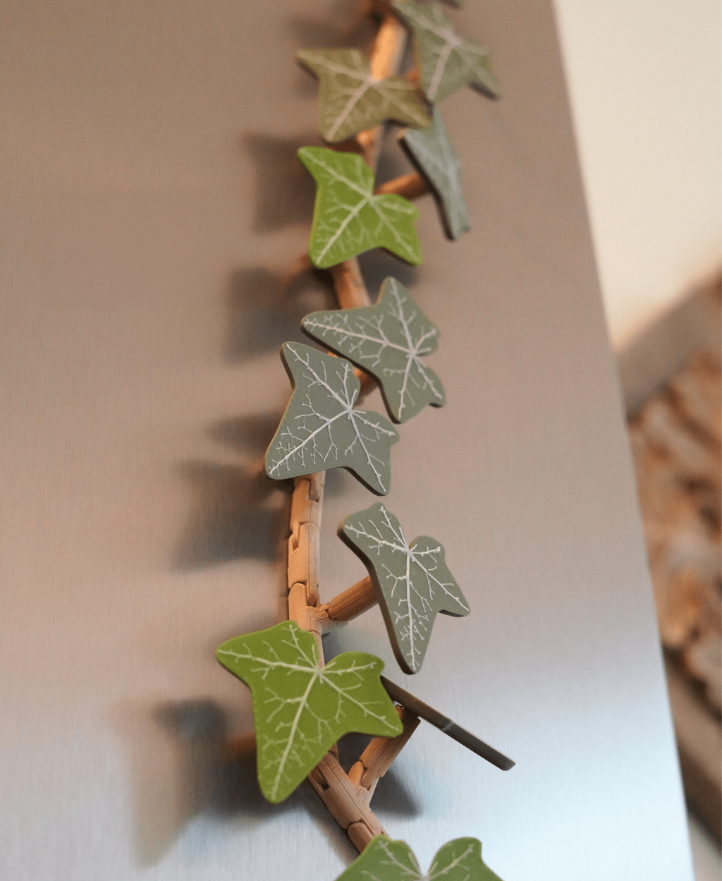 Magnetivy İngiliz Sarmaşığı