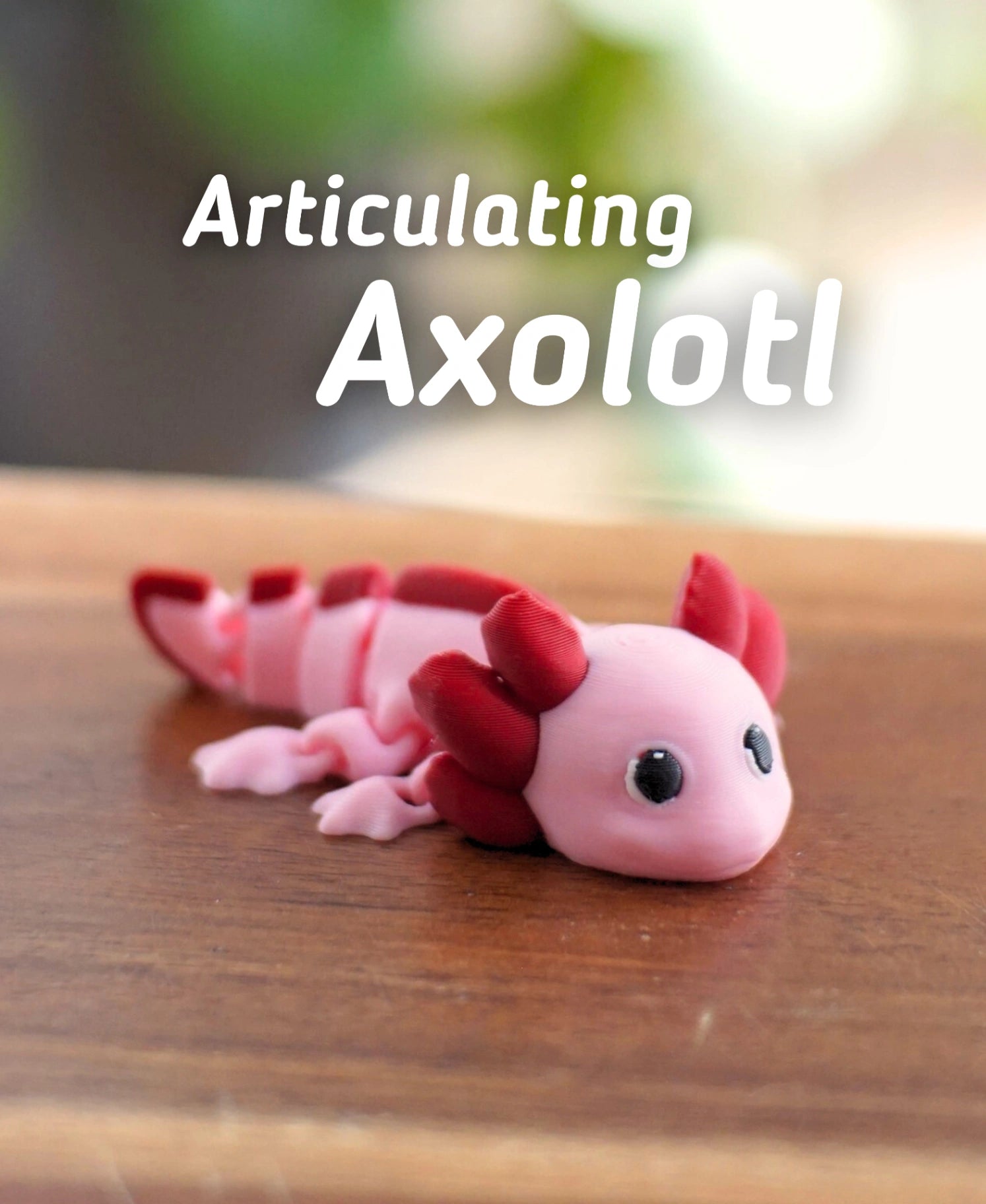 Eklemli Aksolotl