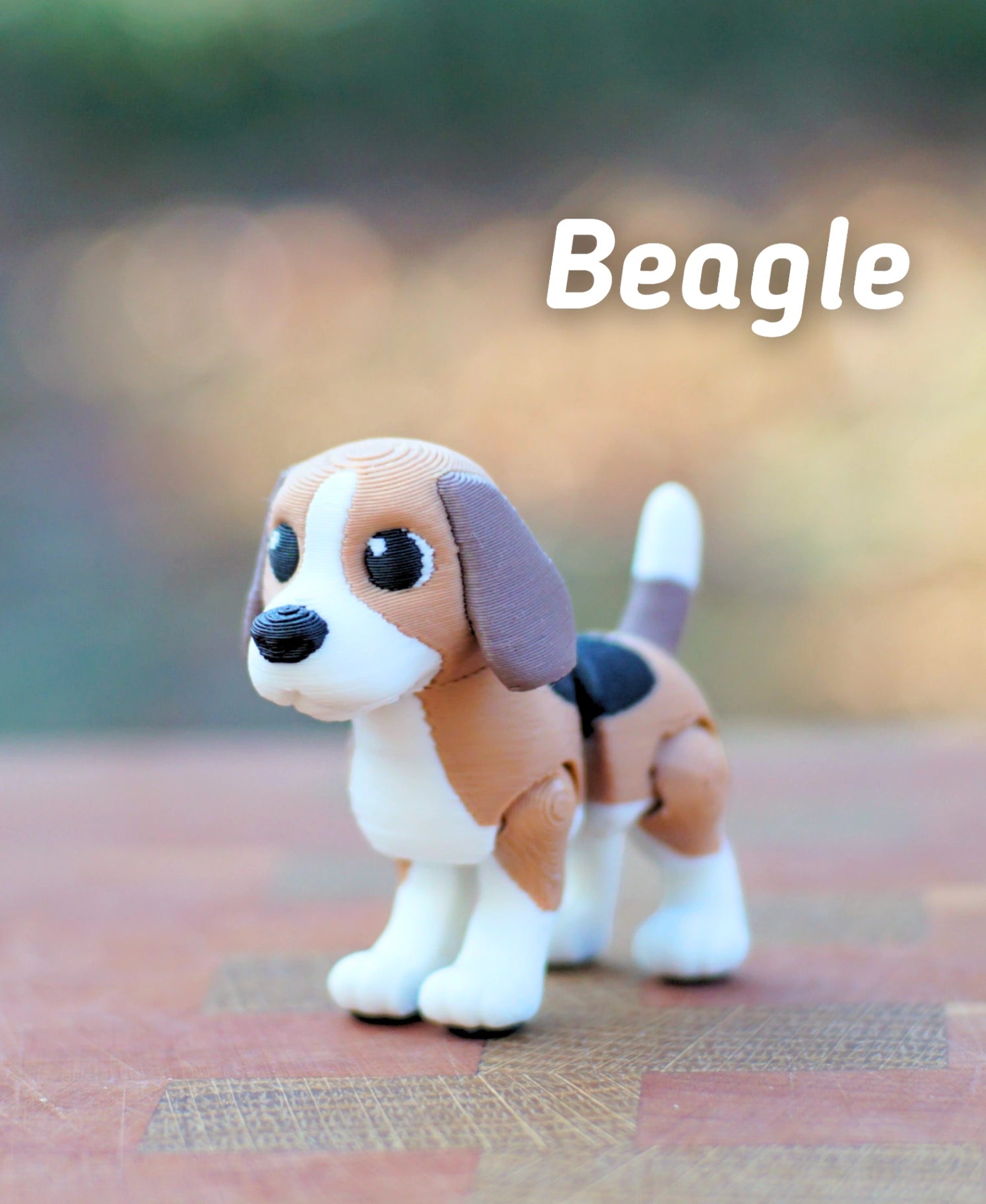 Beagle
