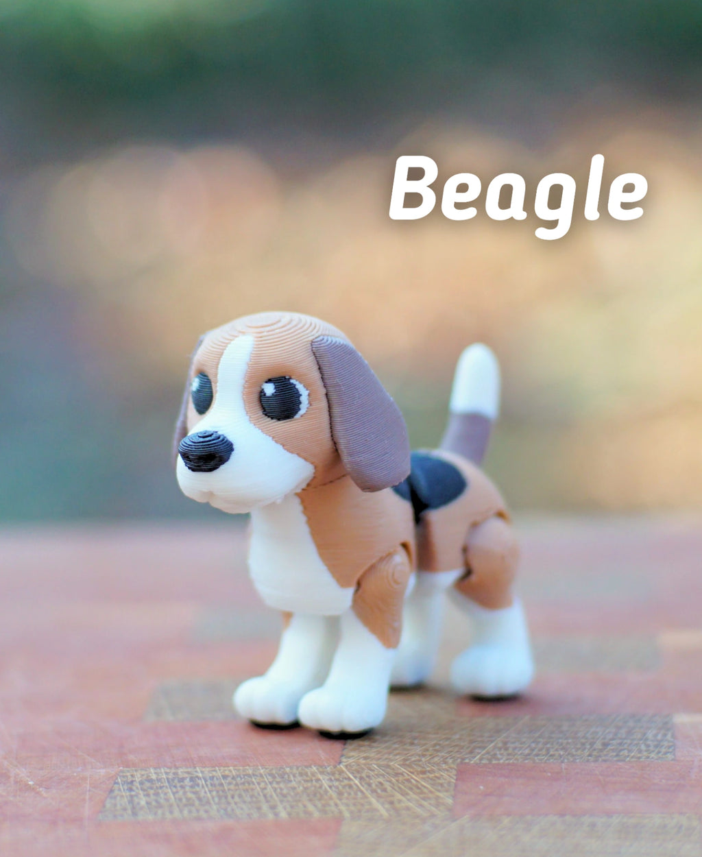 Beagle