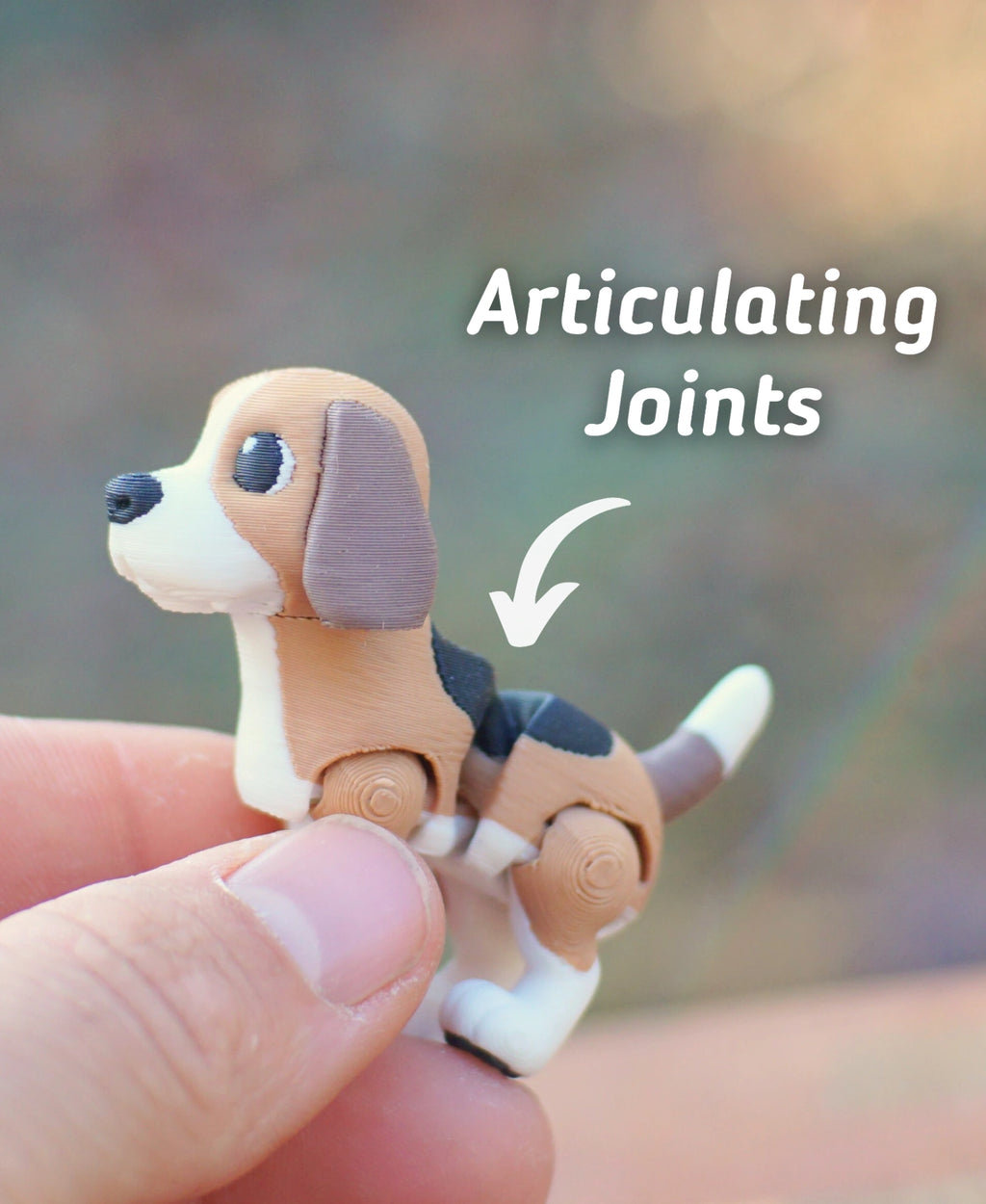 Beagle