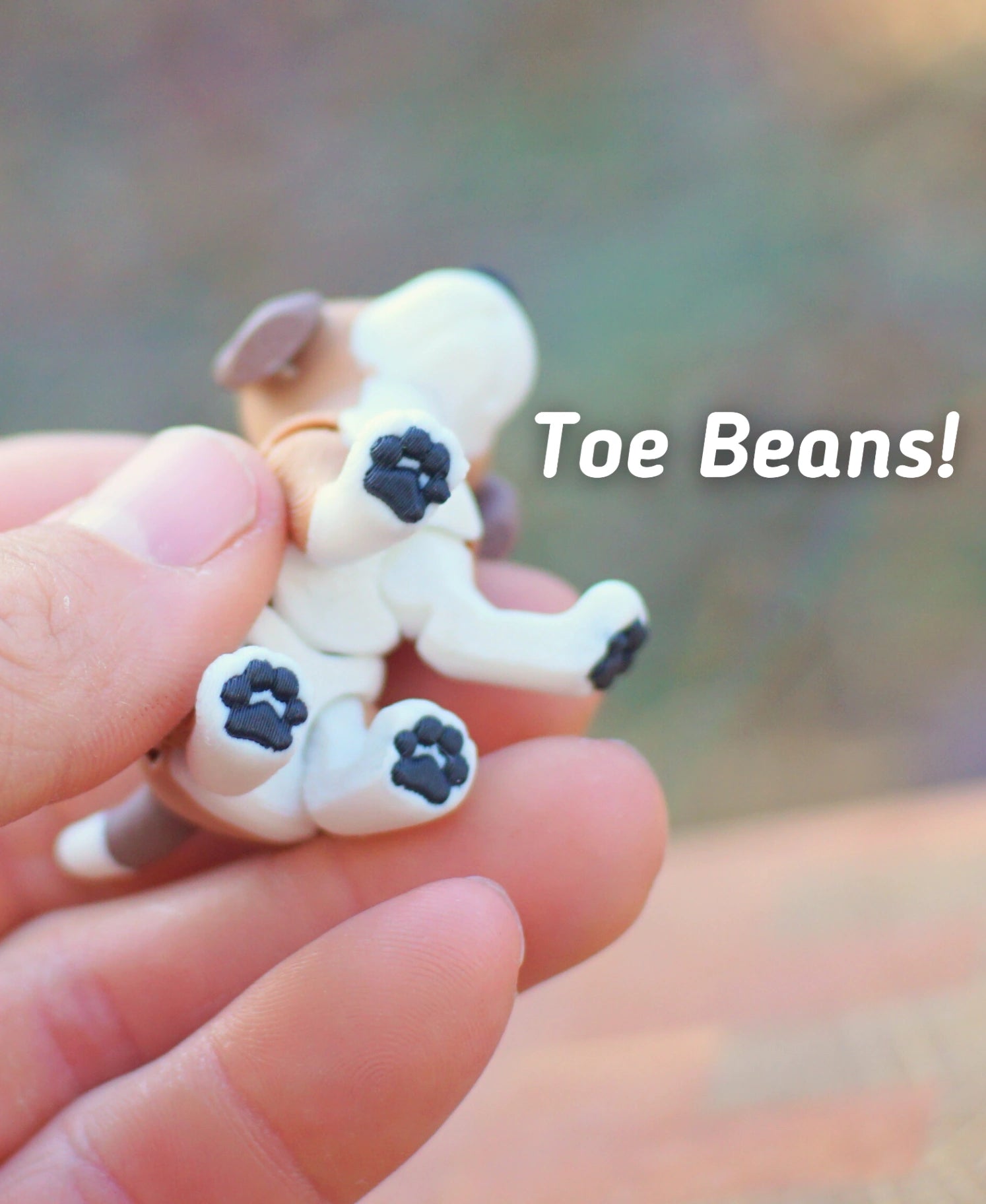 Beagle
