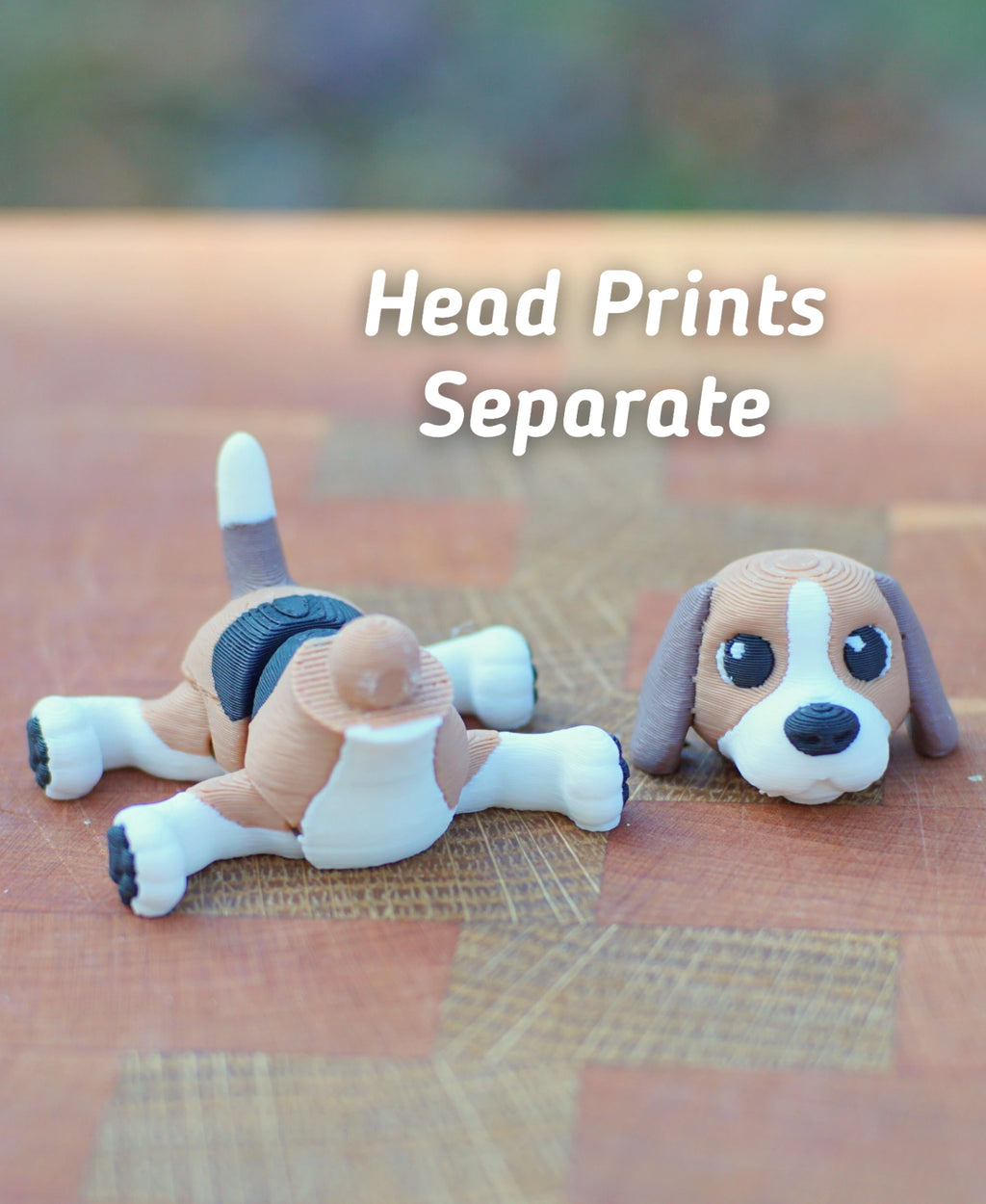 Beagle