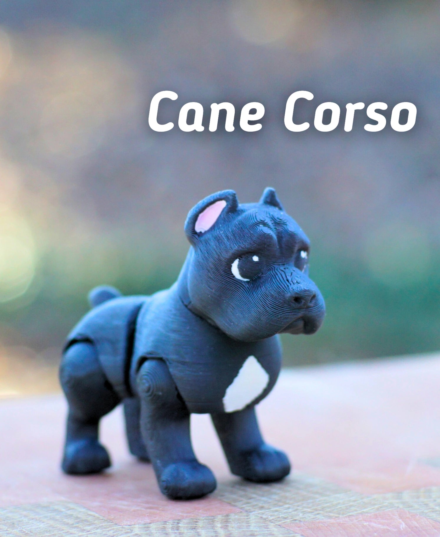 Cane Corso